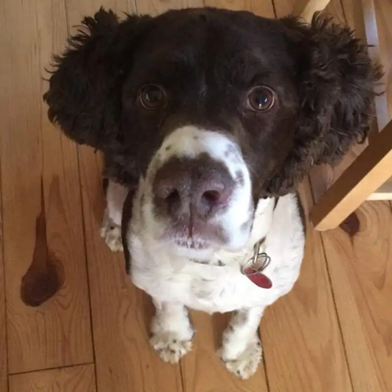 Não aprenda gramática... Até você realmente precisar