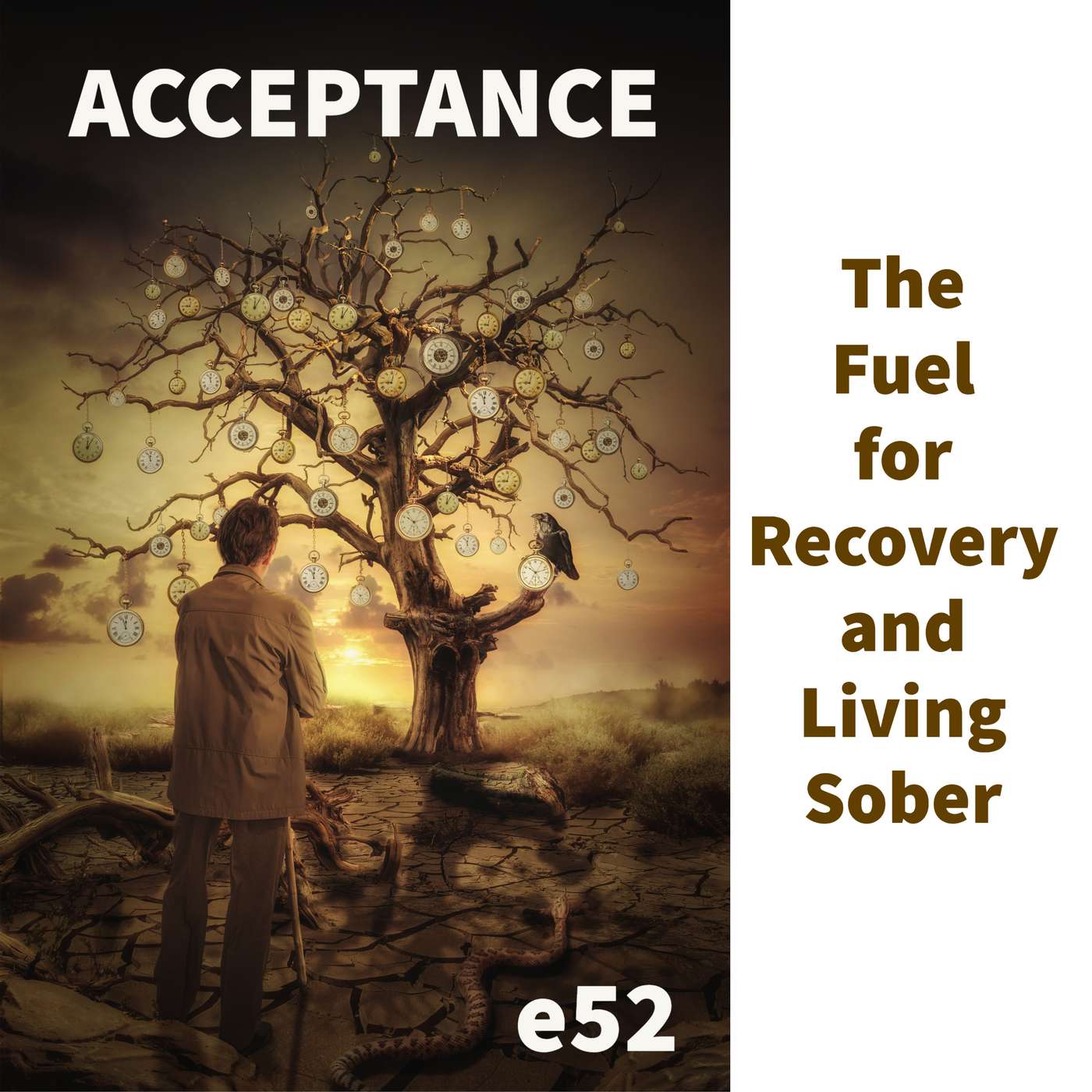 Acceptance - The Fuel for Recovery and Living Sober episode artwork