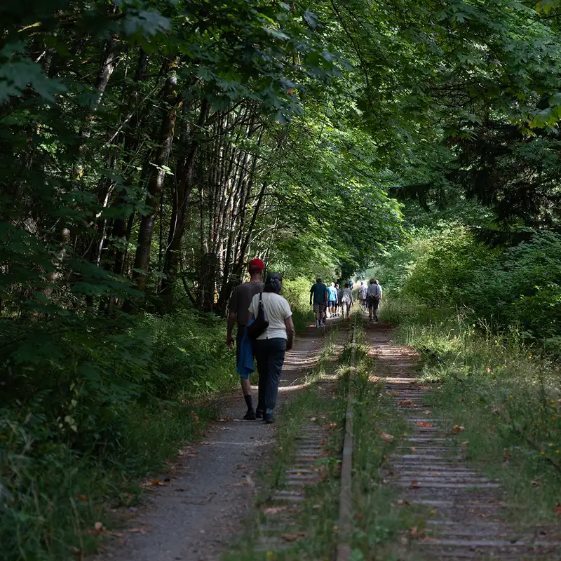 Imagining a new future for the Island Rail Corridor