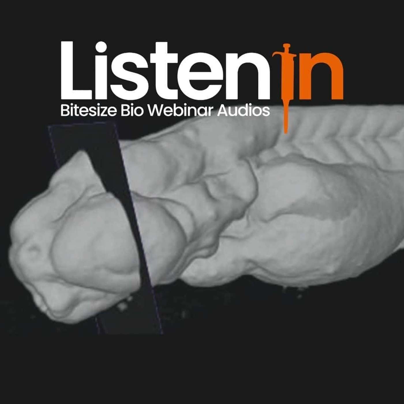 Listen In - Bitesize Bio Webinar Audios