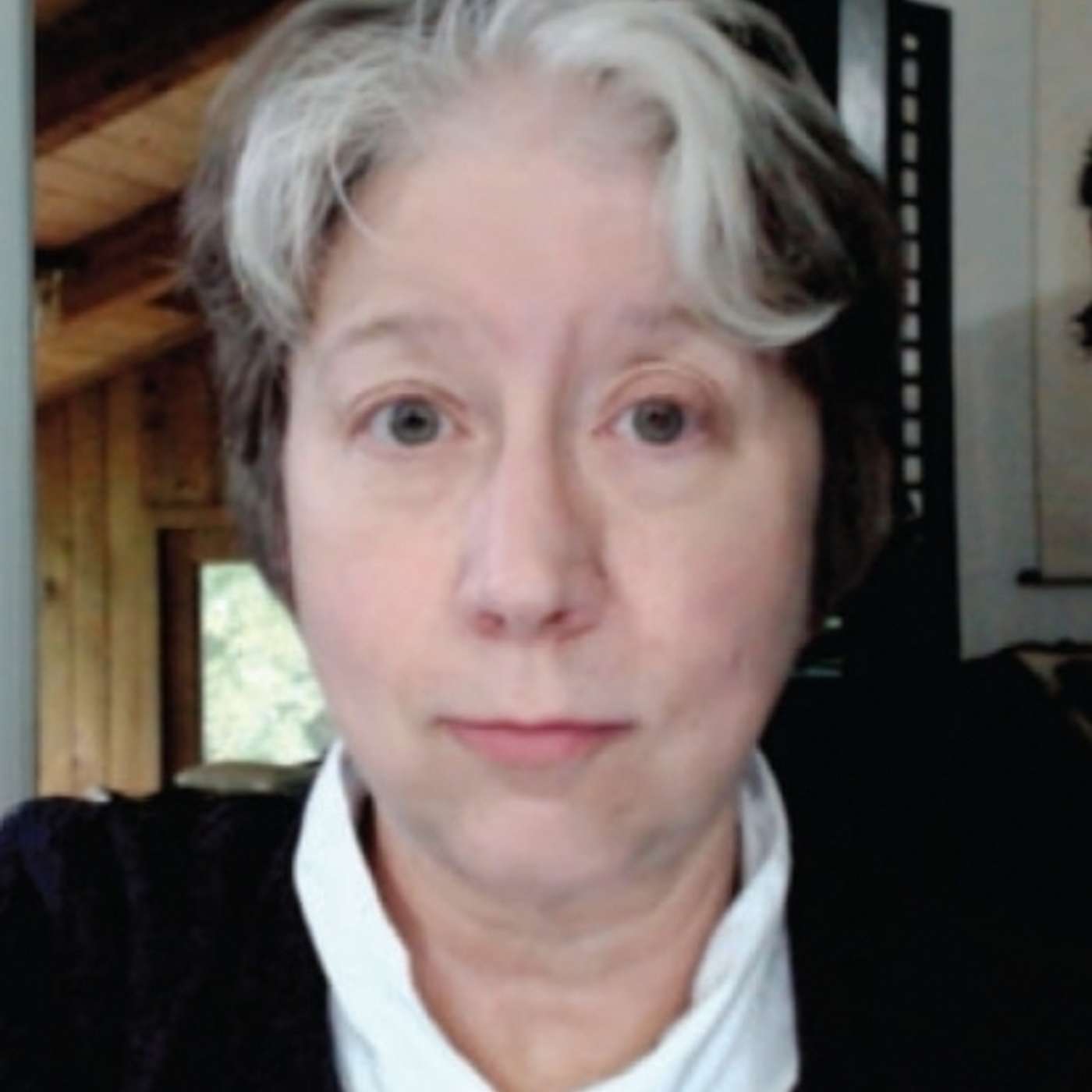 What Chinese History Teaches Us About The Present with Dr. Pamela Crossley episode artwork