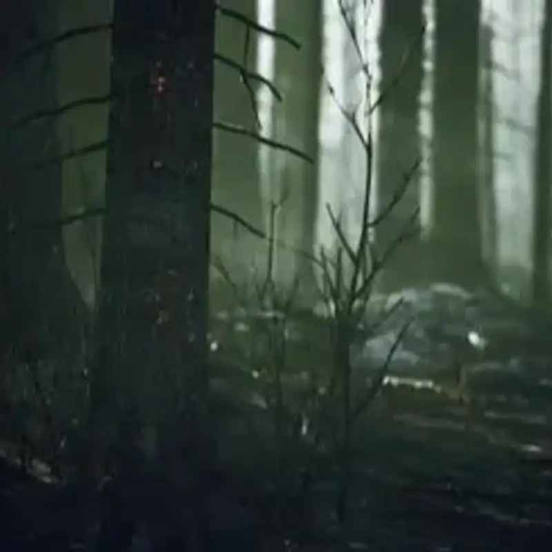 S1E5: Of Ash, Light, and Darkness
