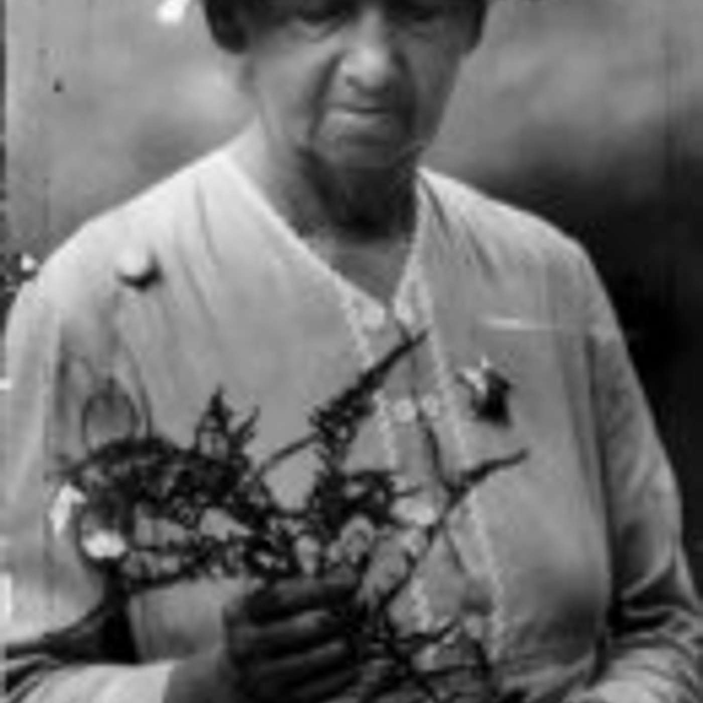 Eloise Butler Wildflower Garden and Bird Sanctuary episode artwork
