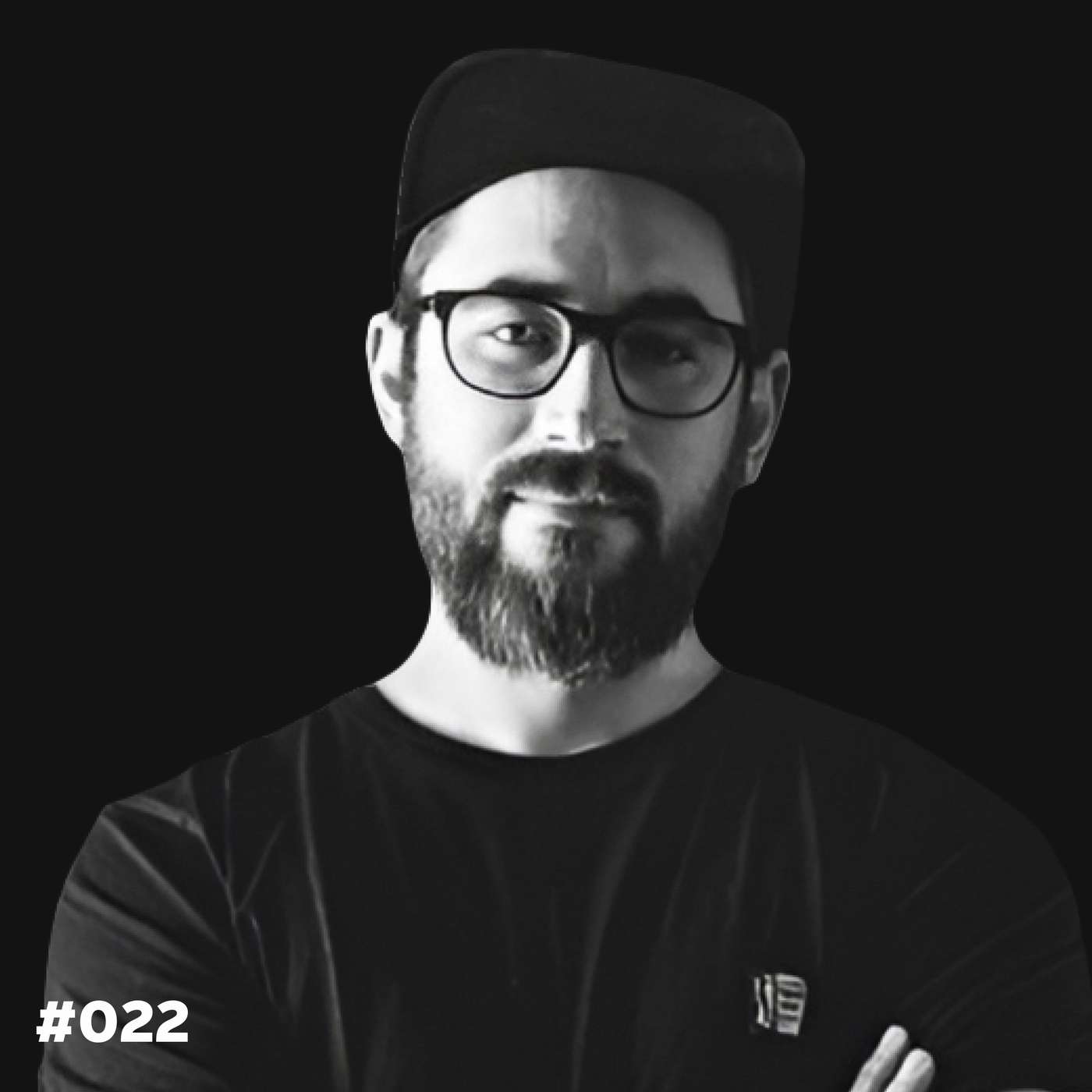 Die Dominik Liss Show (WordPress & Business Talks)