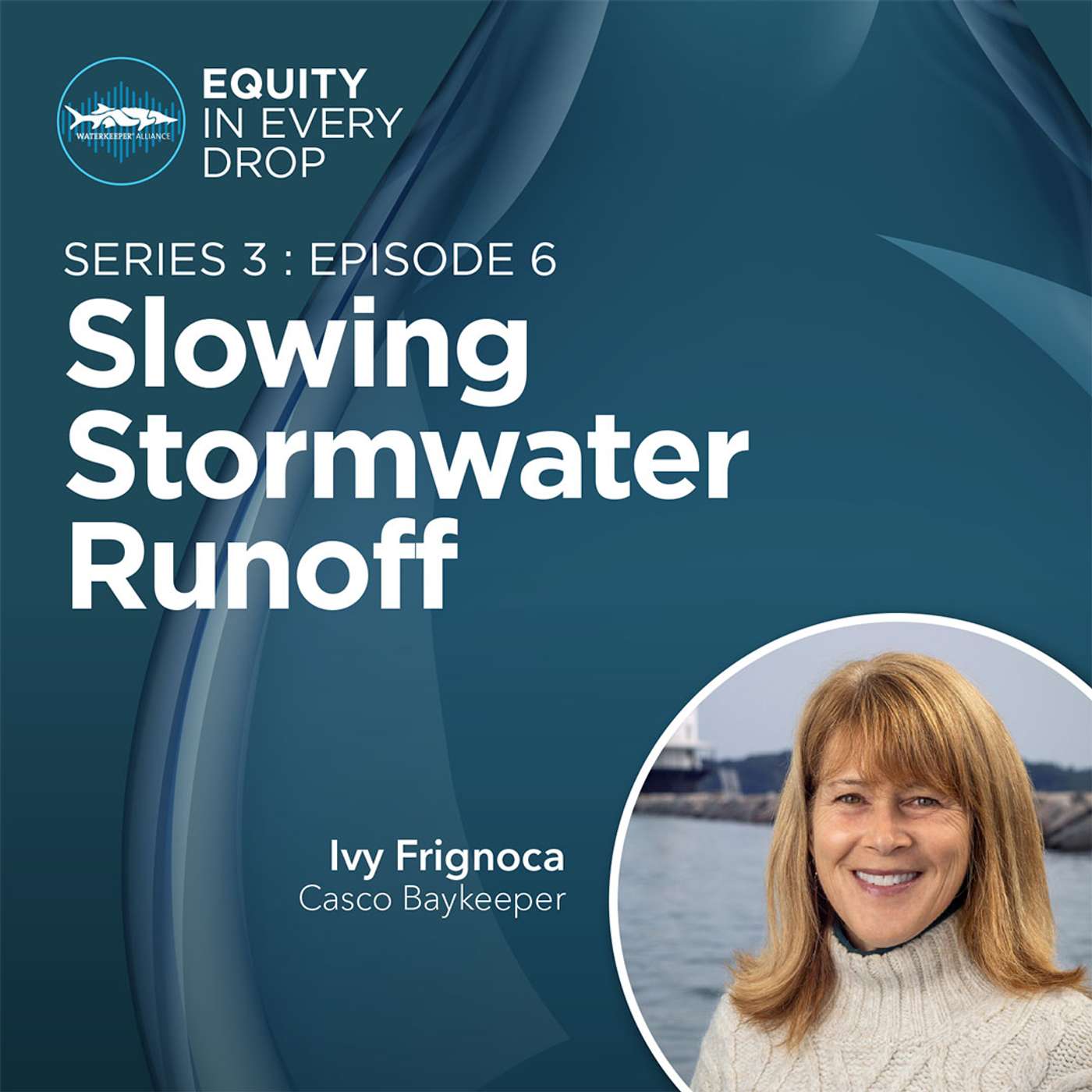 Slowing Stormwater Runoff