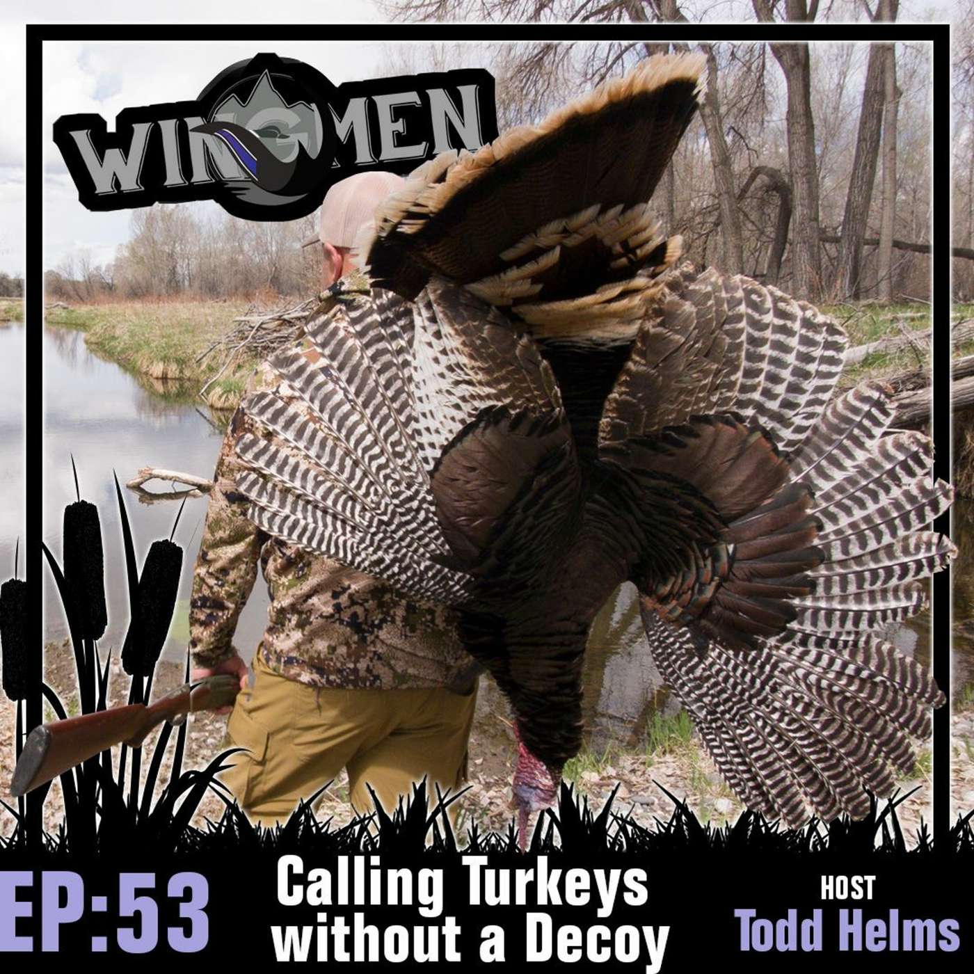 Wingmen Podcast EP 53: Calling Turkeys without Decoys episode artwork