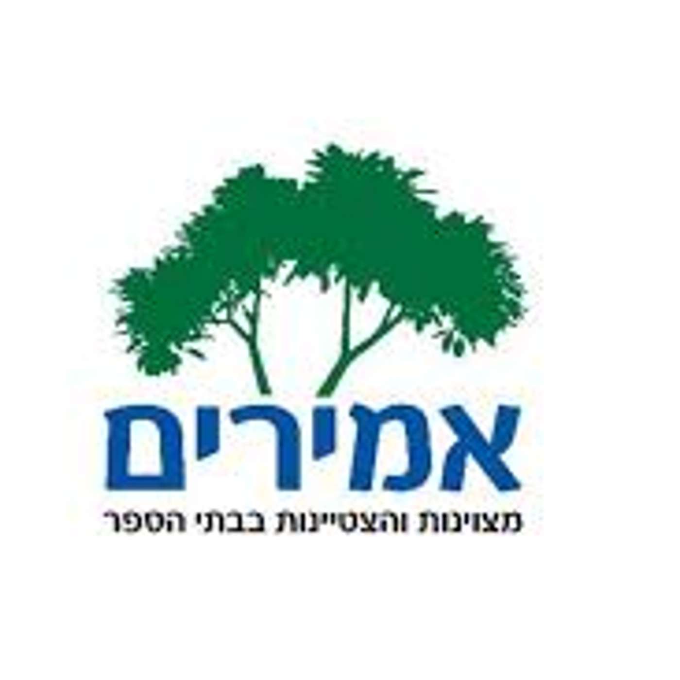 שדרני ה בראיון עם תלמידים במיזם אמירים episode artwork