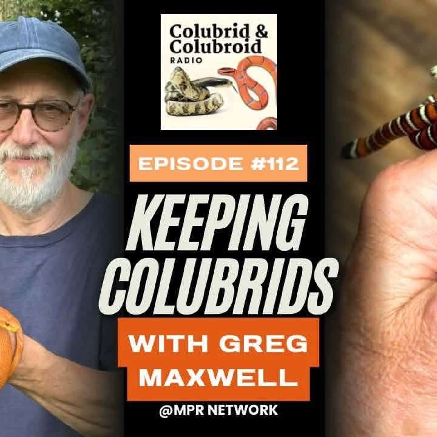 Keeping Colubrids with Greg Maxwell episode artwork