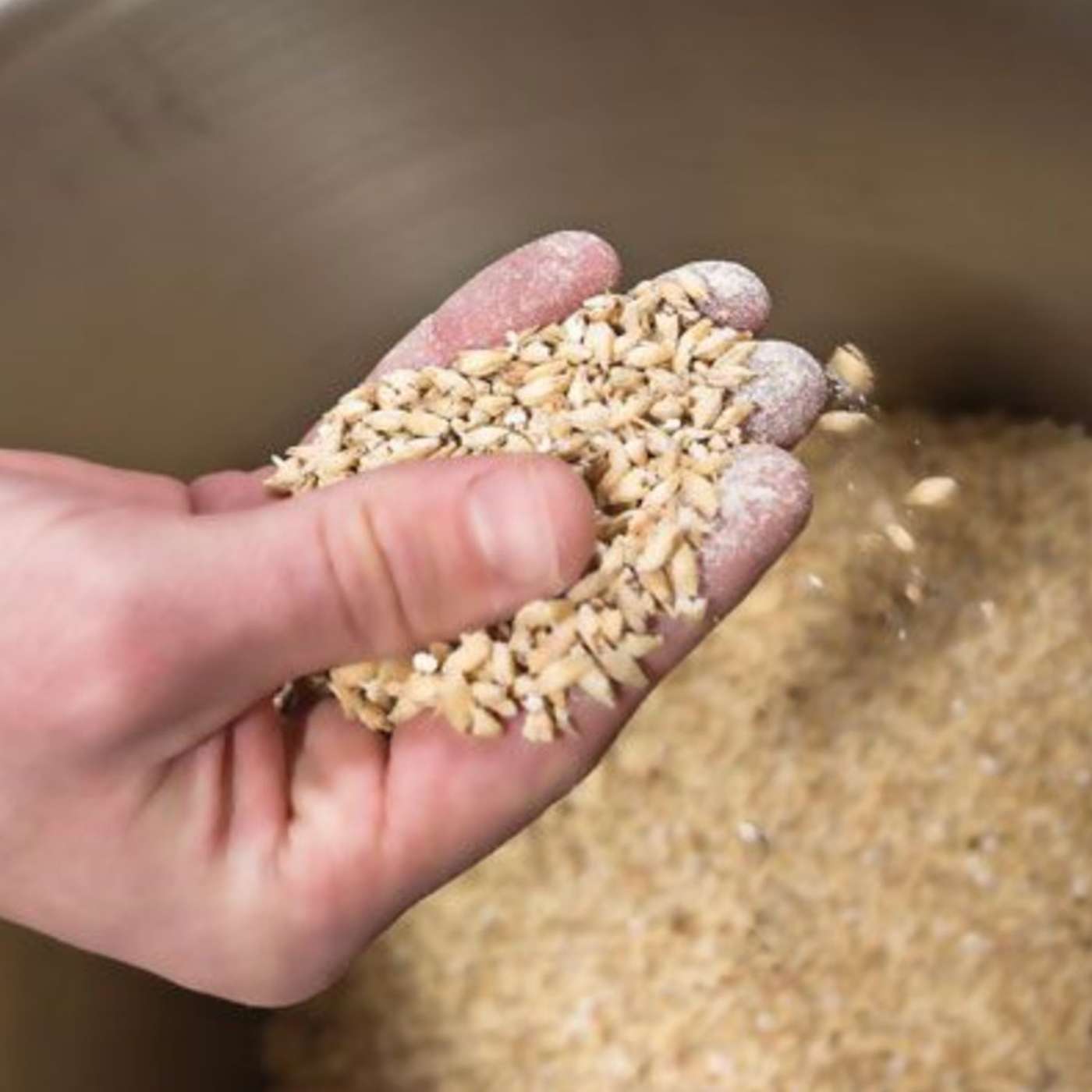 BYO Nano Brew Podcast