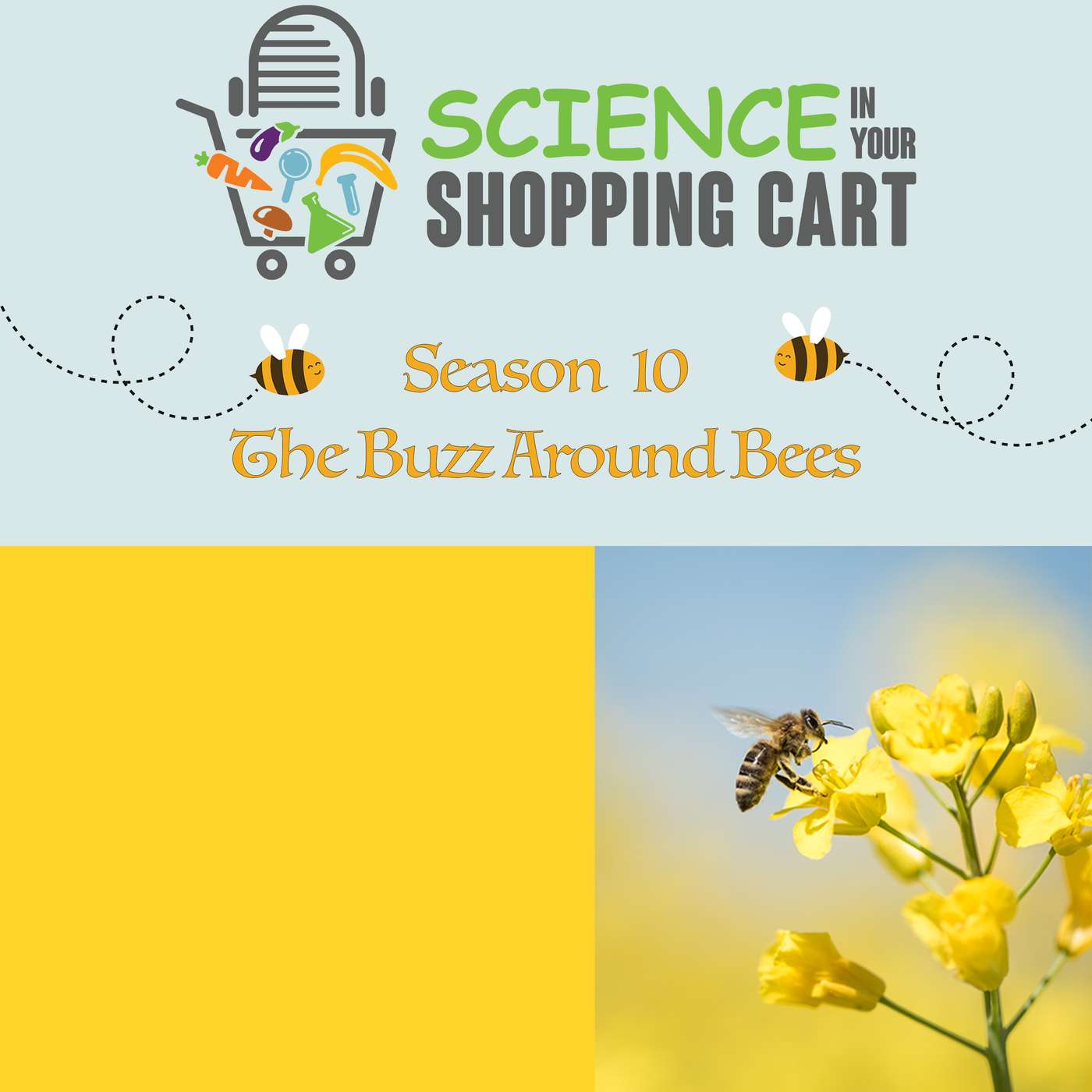 Science In Your Shopping Cart