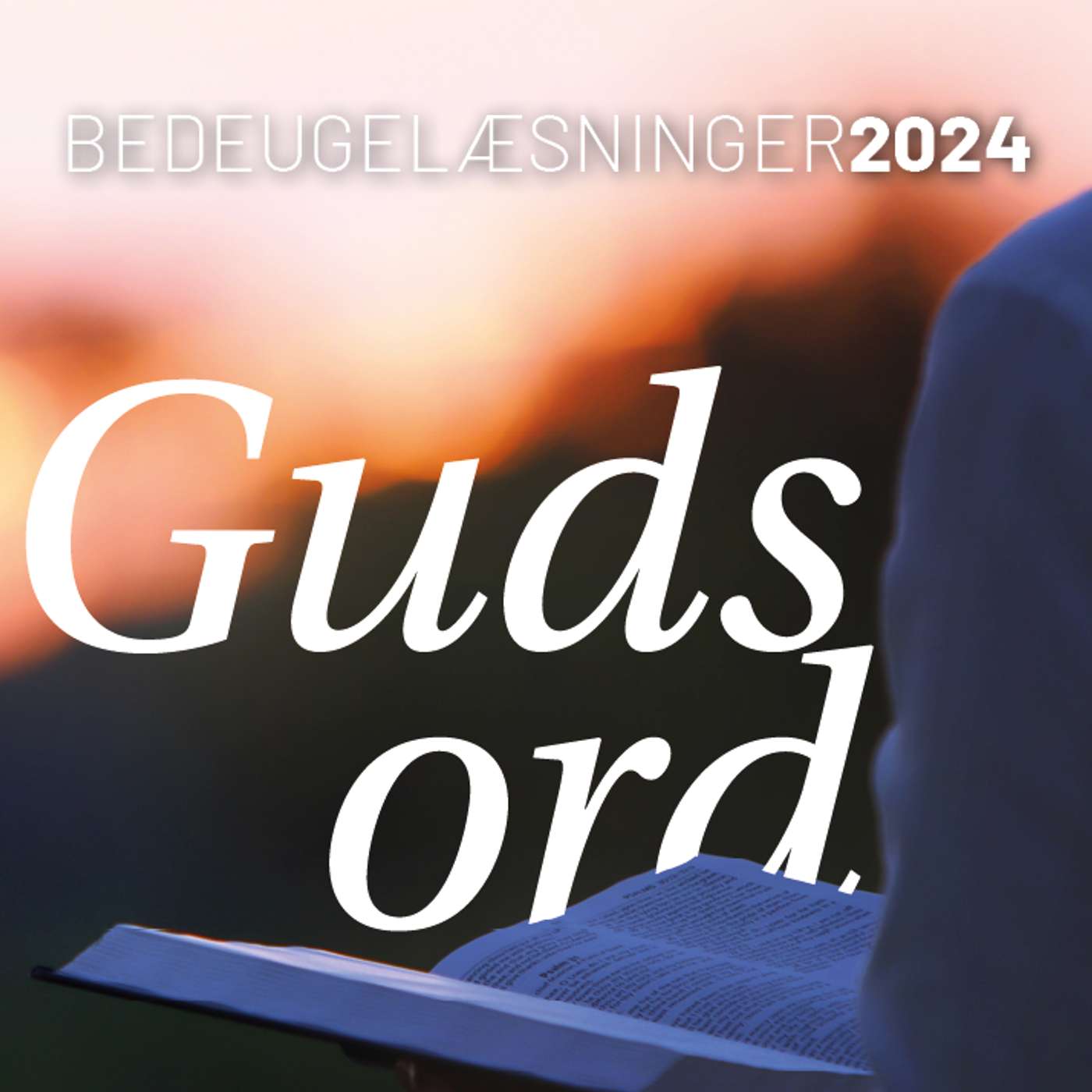 Bedeugelæsninger 2024