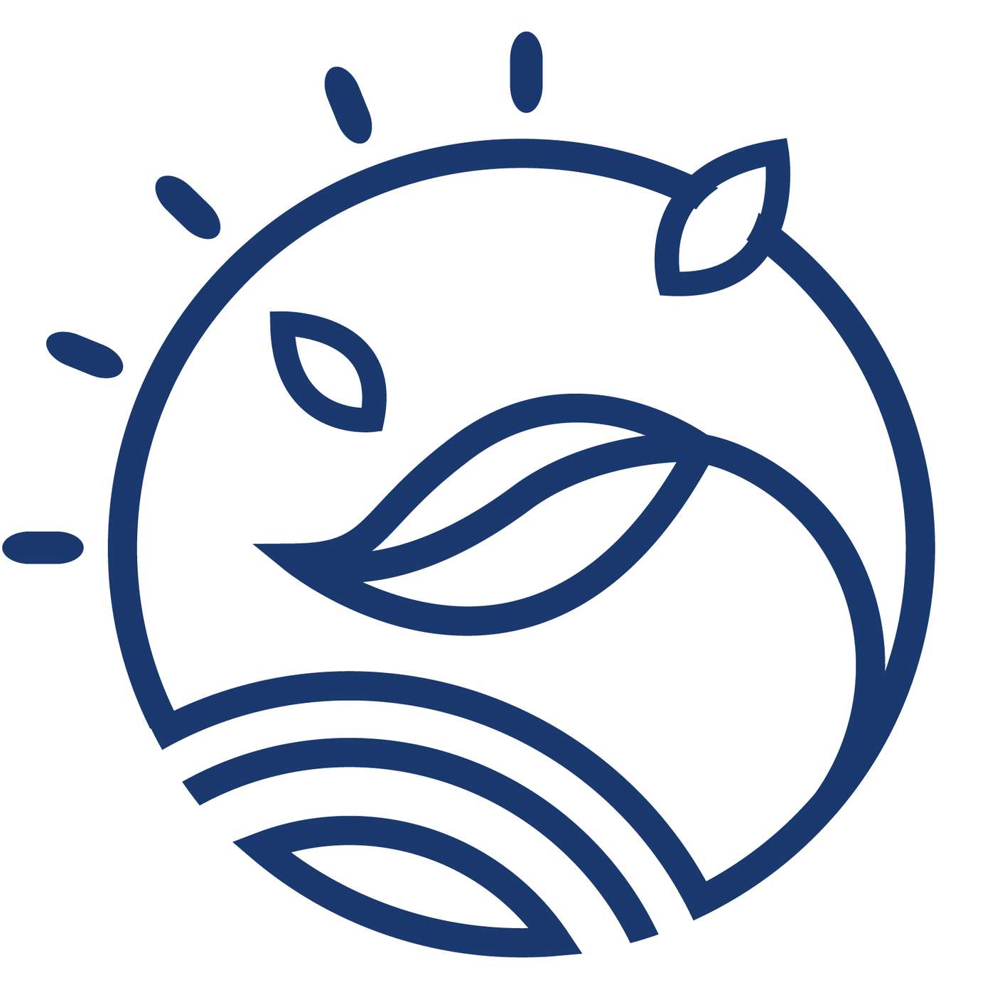 Algues au quotidien - Eric Viard et Aurélie Mazerm Viard