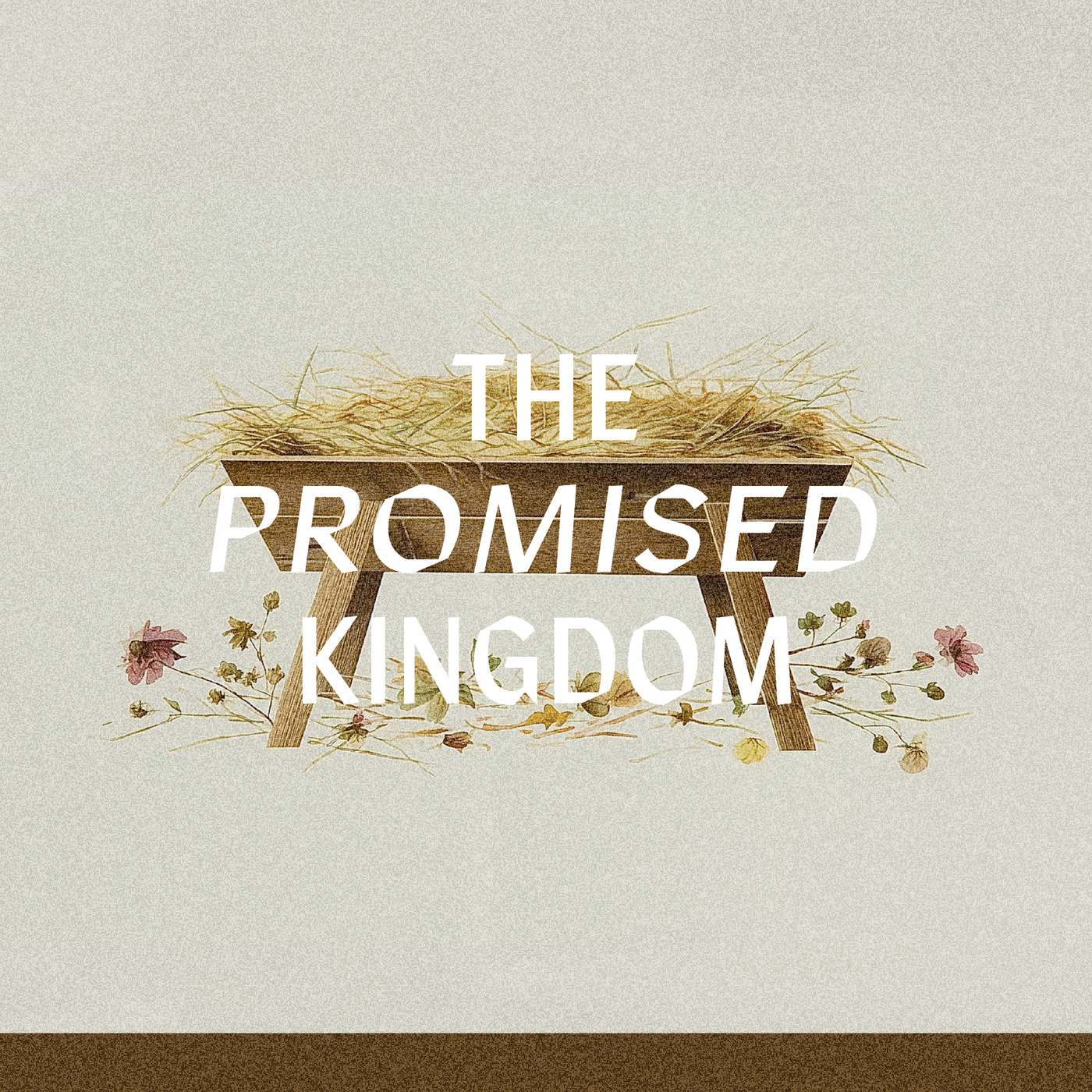 The Promised Kingdom: An Advent Podcast - Day 20 The Promised Kingdom: An Advent Podcast - Day 20