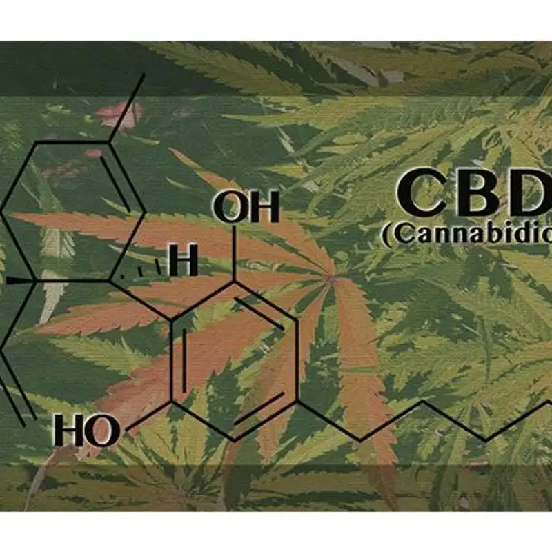 Healing Power of Cannabinoids without the Side Effects: Vital 360 CBD