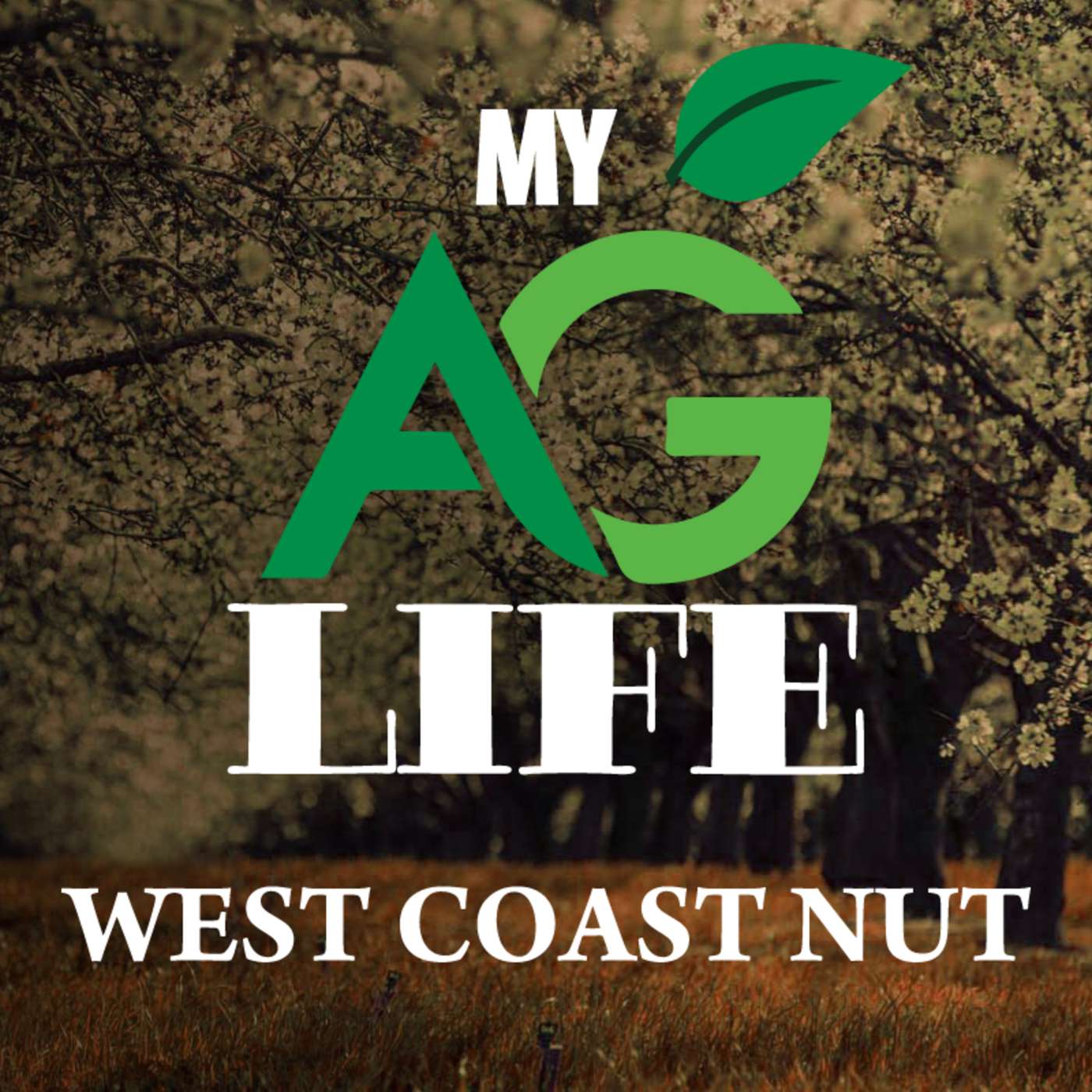 Whole - Orchard Recycling in Almond : Early Nitrogen Fertilization is Important on First - Year, Second - Generation Trees / West Coast Nut November 2020