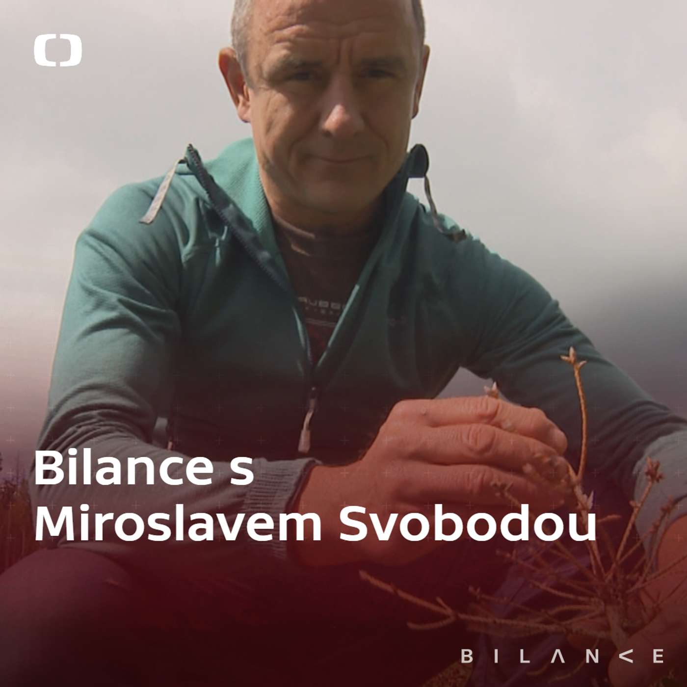 Stav českých lesů je časovaná bomba. Smrk jednou přestane vydělávat