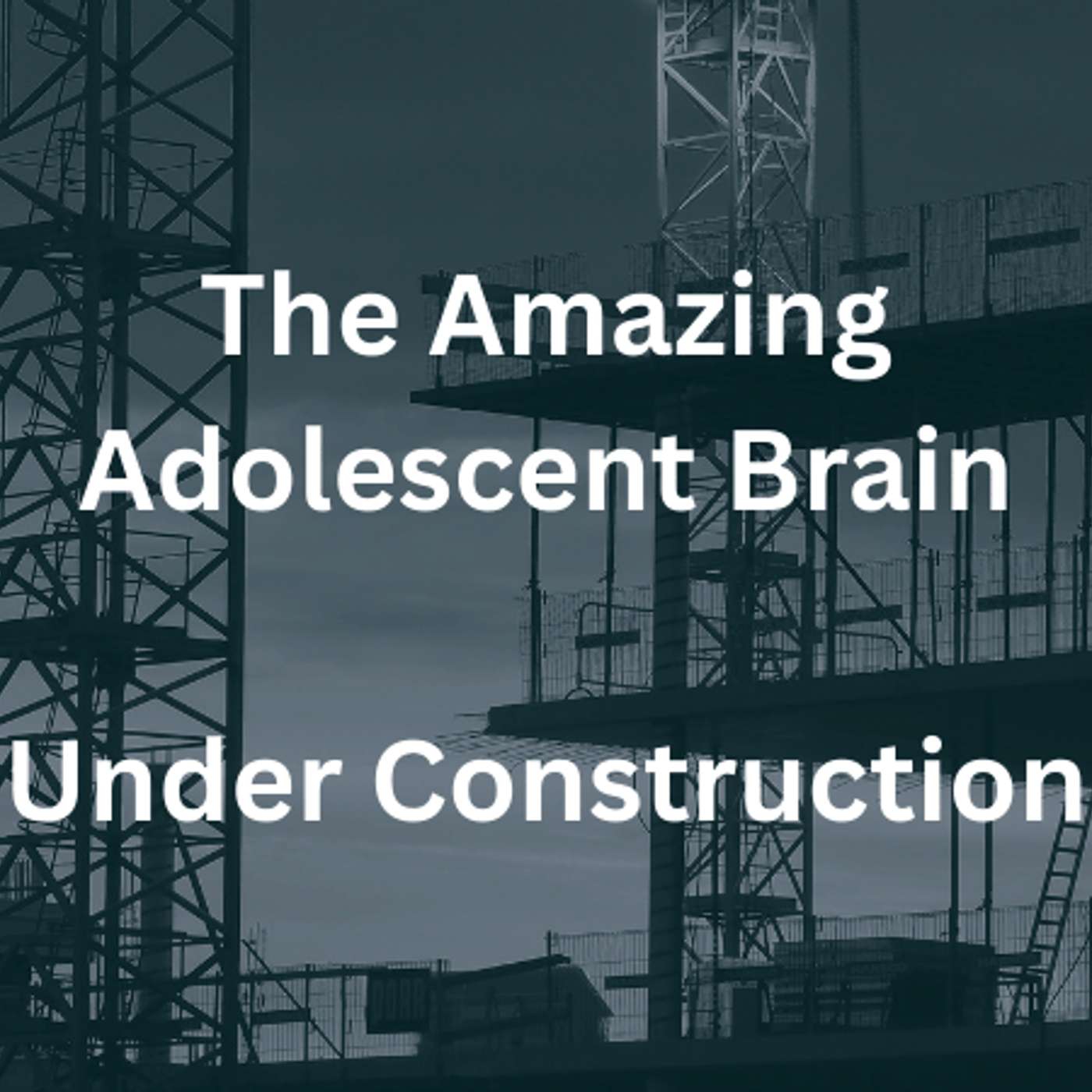 The Amazing Adolescent Brain Under Construction episode artwork
