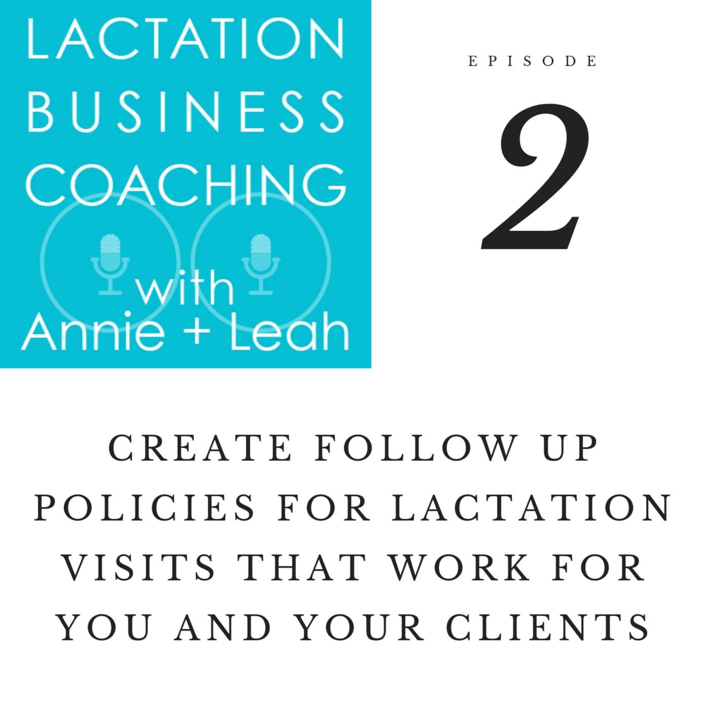 Lactation Business Coaching with Annie and Leah