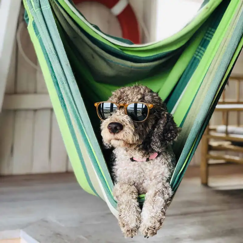 Férias e inglês: tudo o que você precisa saber!