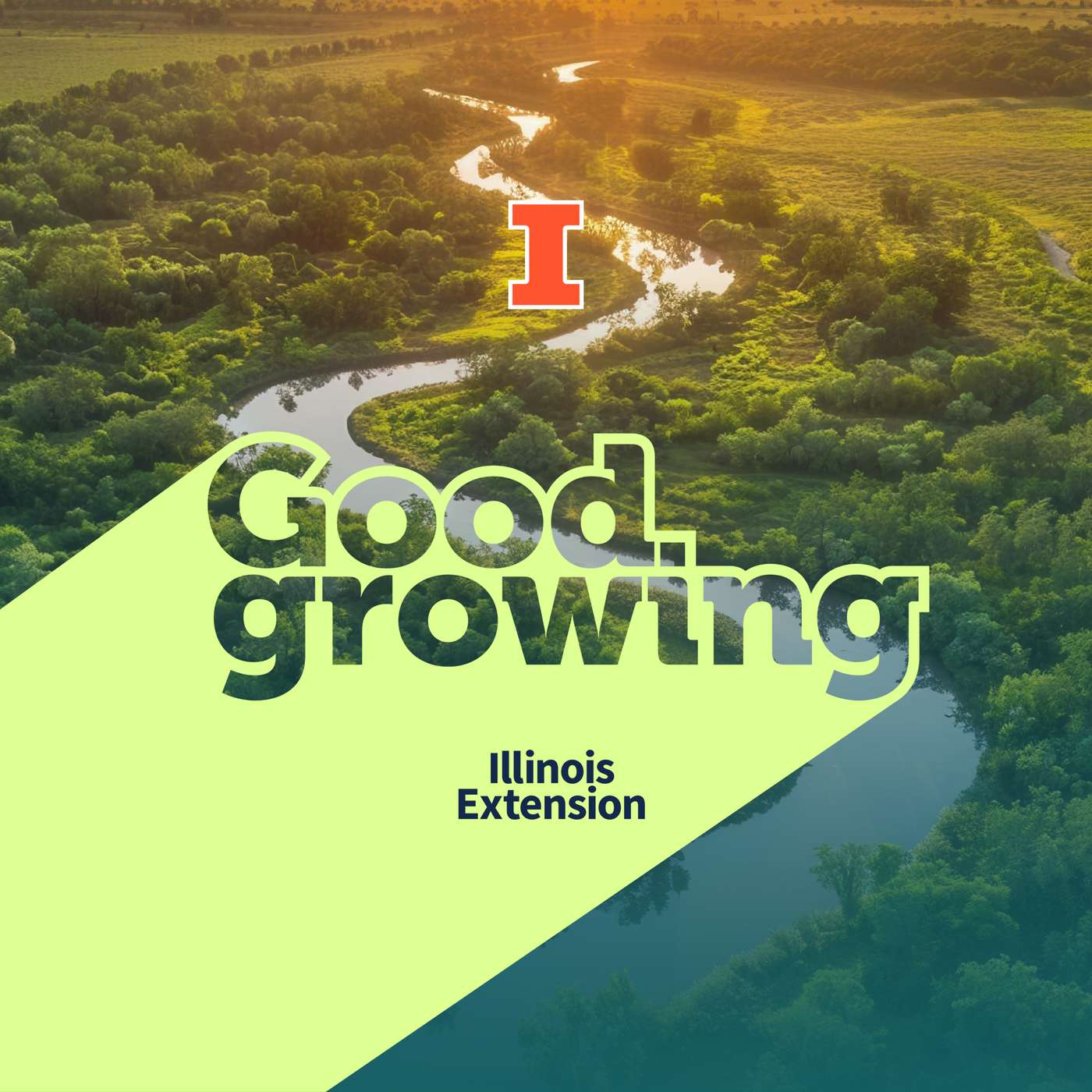 Ep. 217 Agroforestry: Blending trees, crops, ecology, and economy | #GoodGrowing