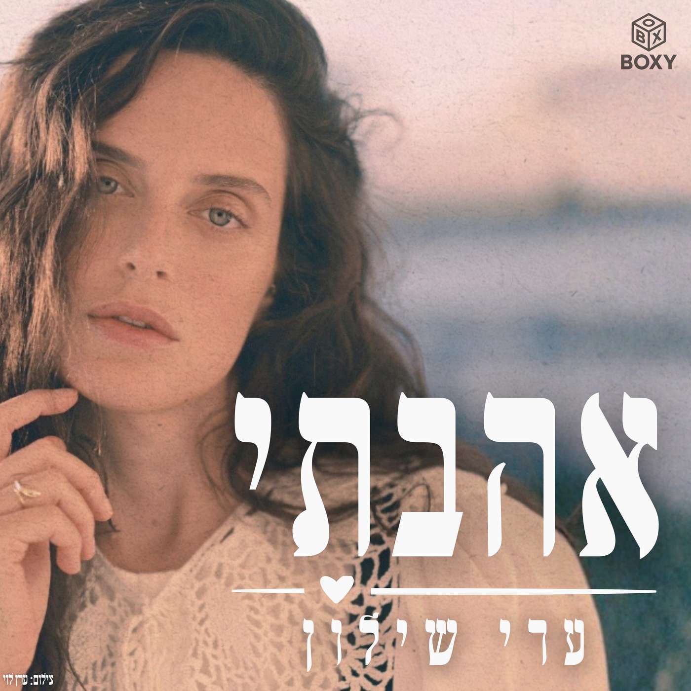 אהבתי | עדי שילון