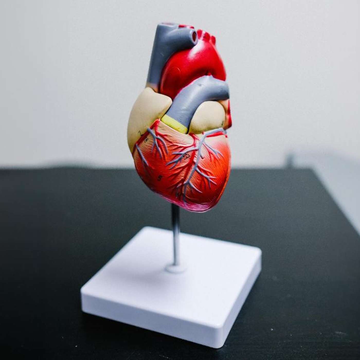 Blood Pressure Control Reduces Dementia Risk, AI Model Diagnoses ADHD Accurately, Discovery Links Autism and Dystrophy, Microplastics Threaten Women's Fertility, and more...