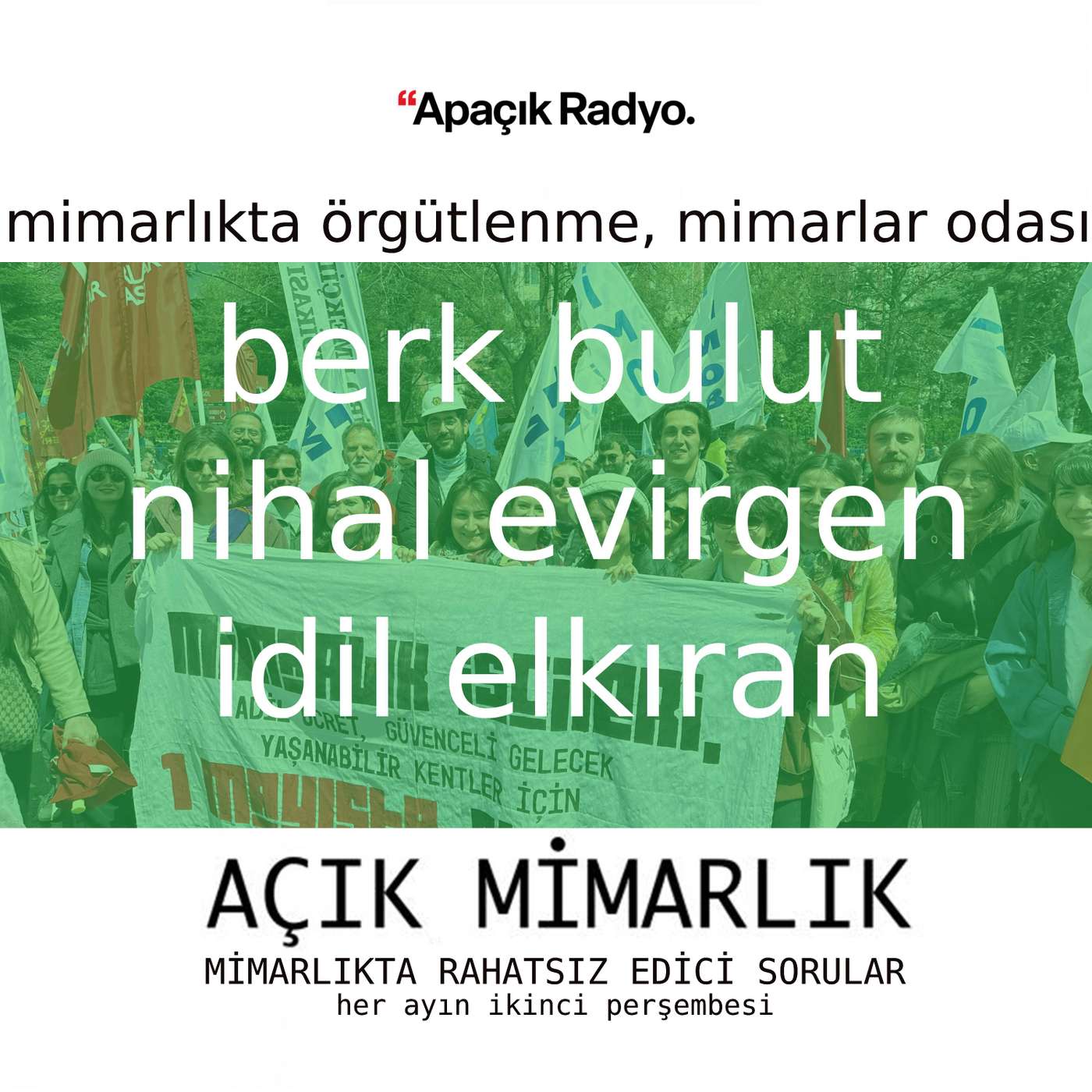 Mimarlıkta Örgütlenme ve Mimarlar Odası Mimarlıkta Örgütlenme ve Mimarlar Odası