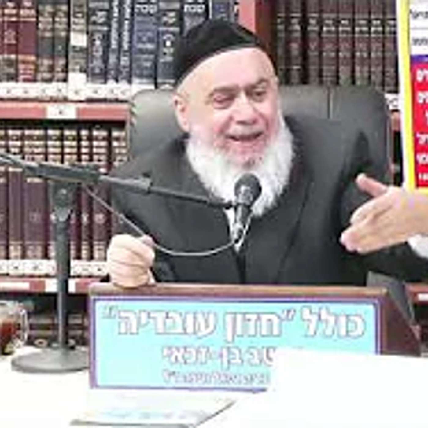הרב חיים רבי :  השגות באמונה .