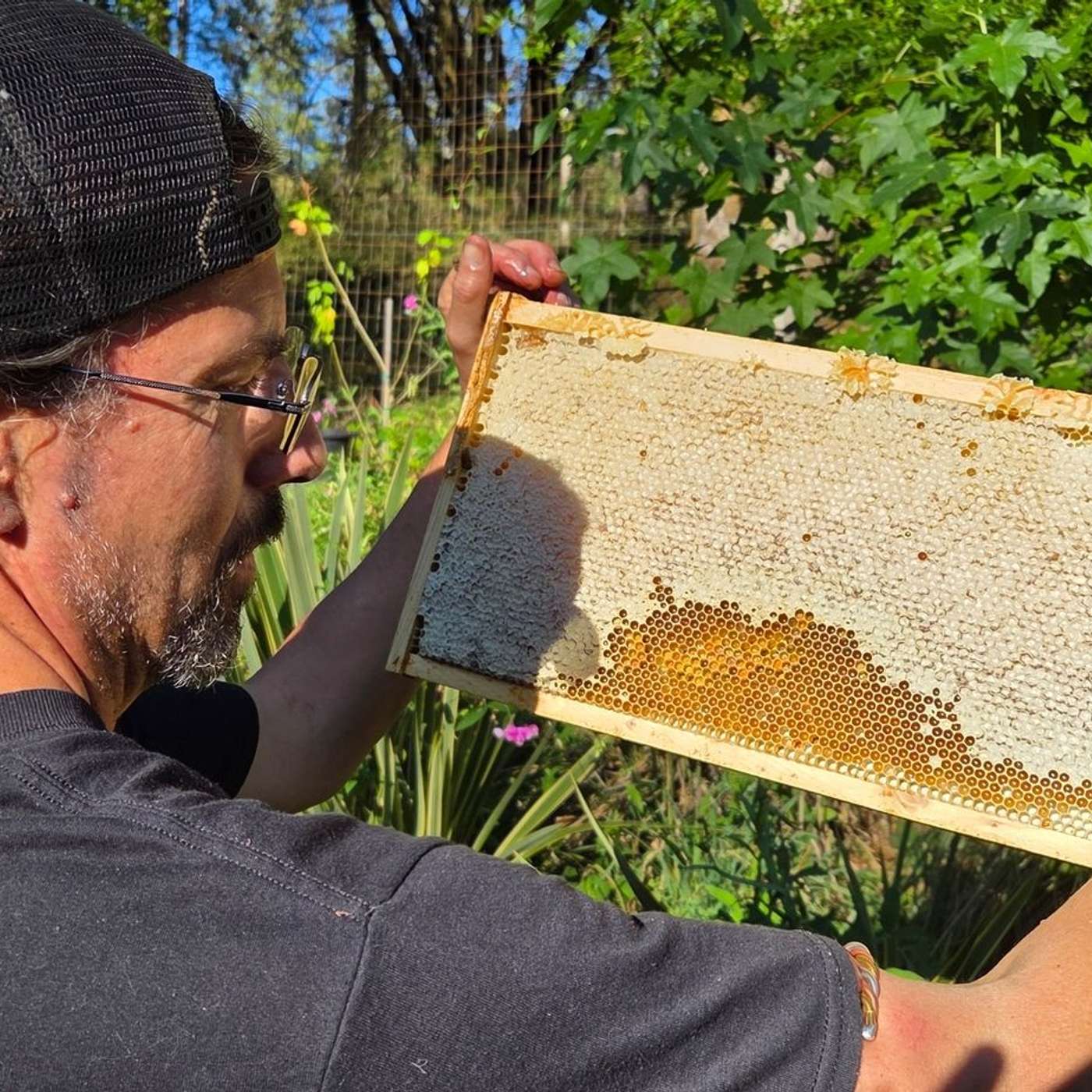 July 2026 - Tom Wade w/ Neal Sullivan - Biodynamic Beekeeper episode artwork