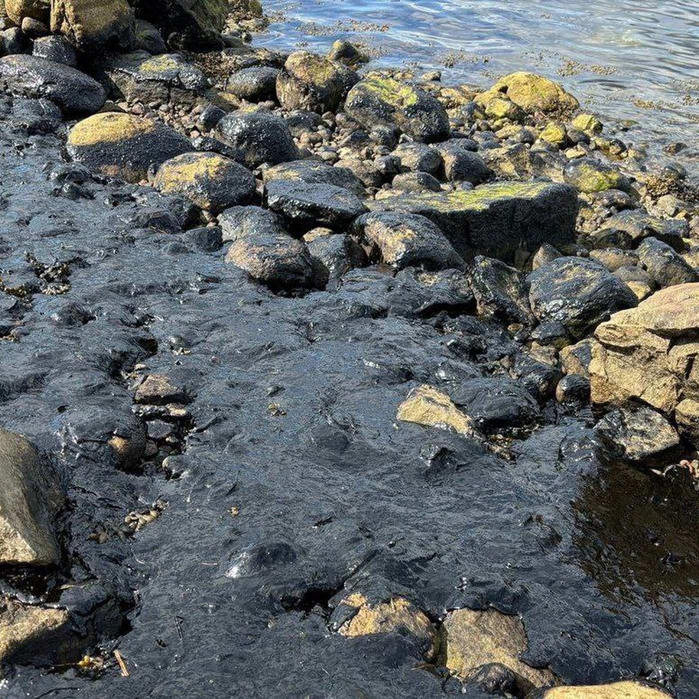 В Мурманской области до сих пор не назвали виновных в разливе нефти