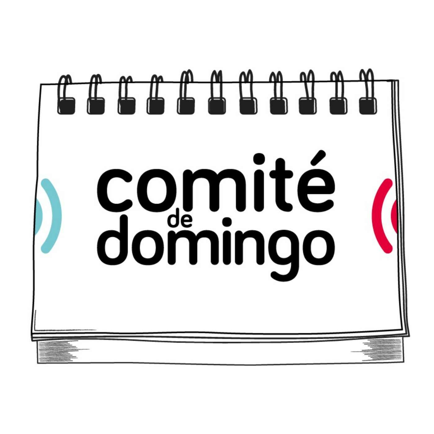 [#ComitéDeDomingo] Todo sobre el informe de Amnistía Internacional  | 19/2