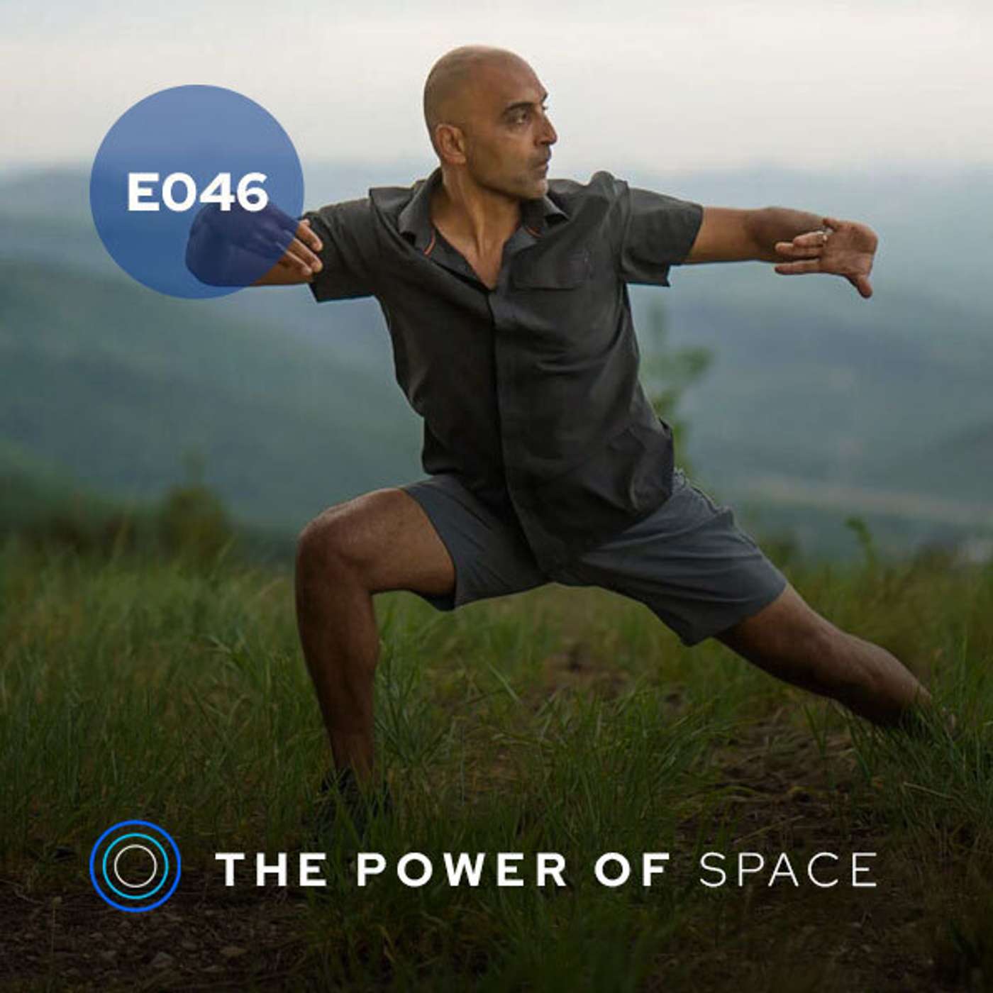 Energy, Power and Vitality with Pedram Shojai