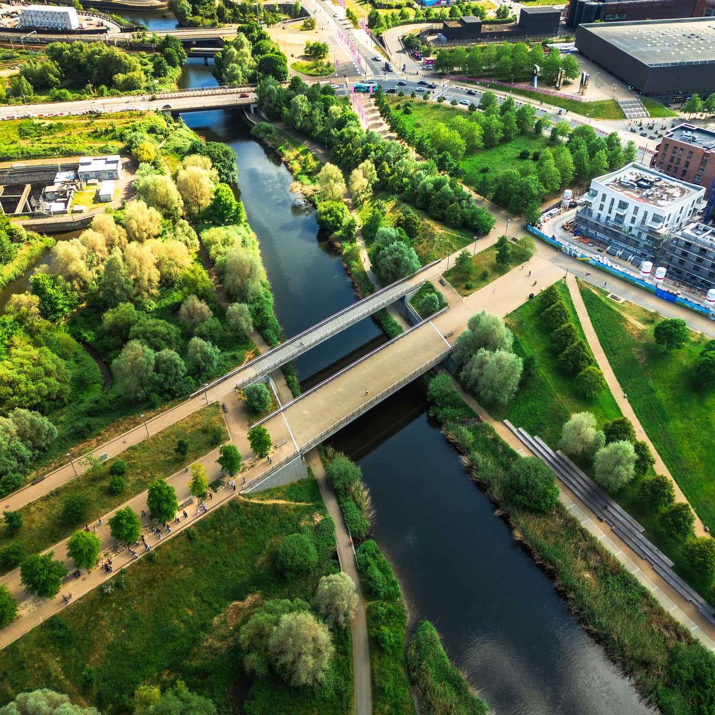 Towards the Symbiocene: Building an Eco-Civilisation with thought-leader, Jeremy Lent