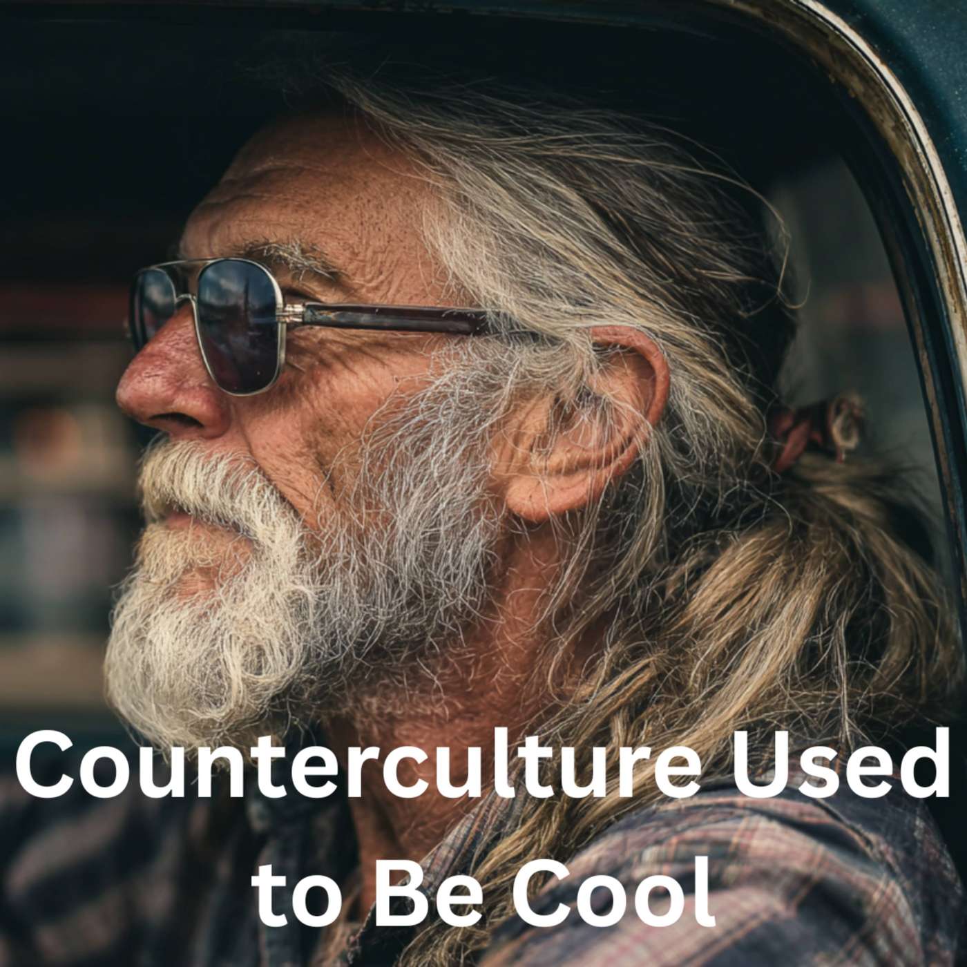 Day 361 - Counterculture Used to Be Cool episode artwork