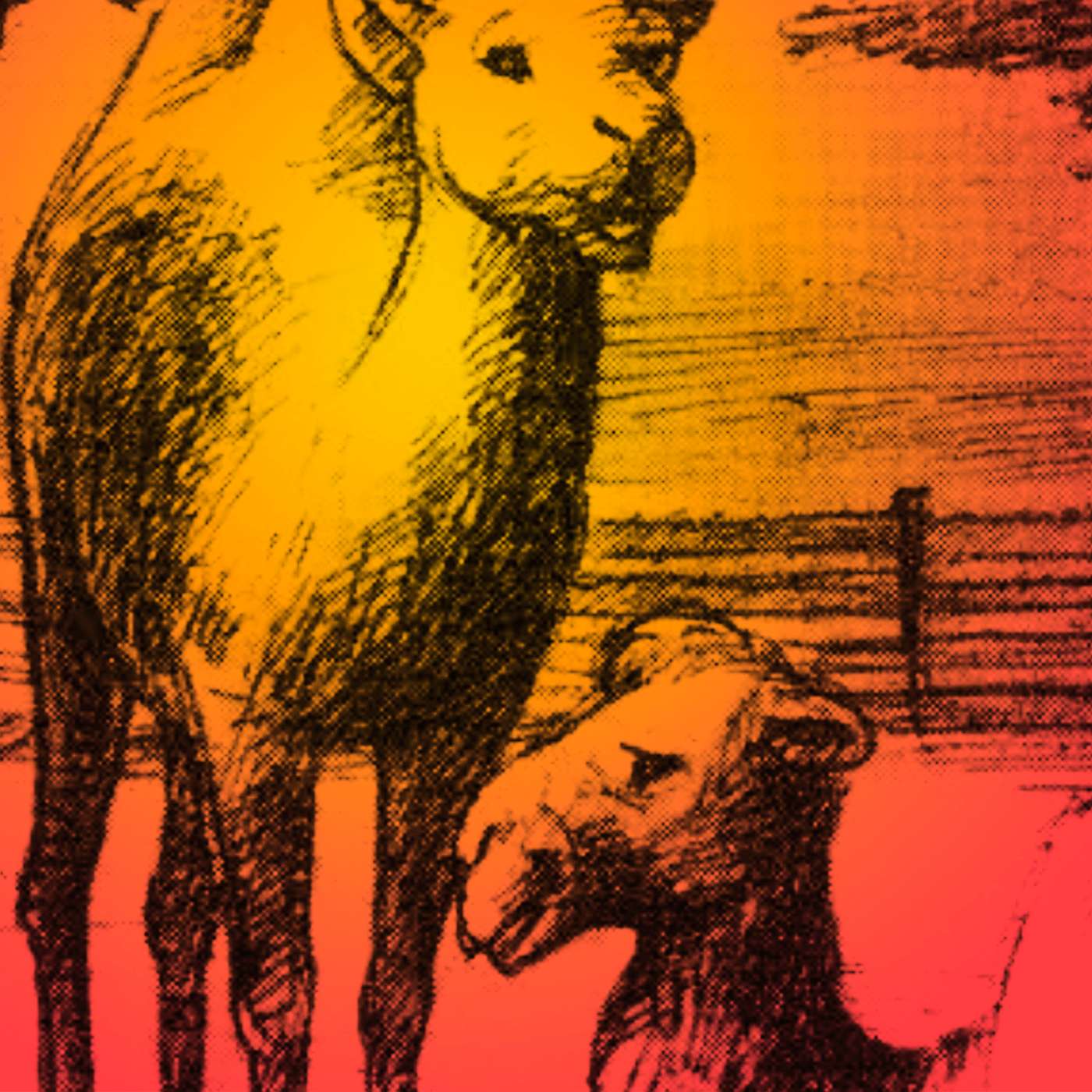 Ep. 273. Struggle Down Under: Week FIVE with Dani and Bill from Escape This Podcast!