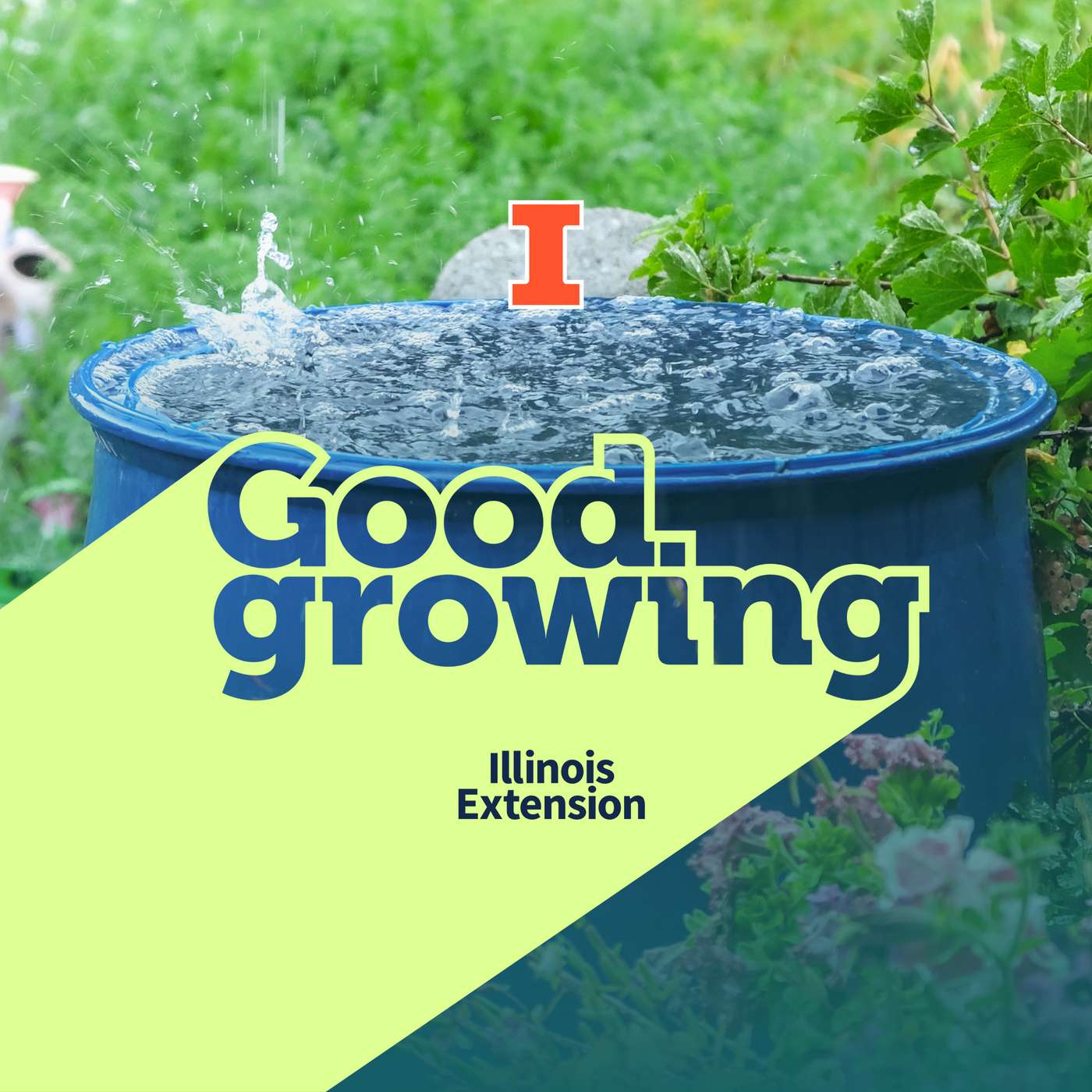 Ep. 225 Stormwater Solutions for Homeowners & Communities | #GoodGrowing Ep. 225 Stormwater Solutions for Homeowners & Communities | #GoodGrowing