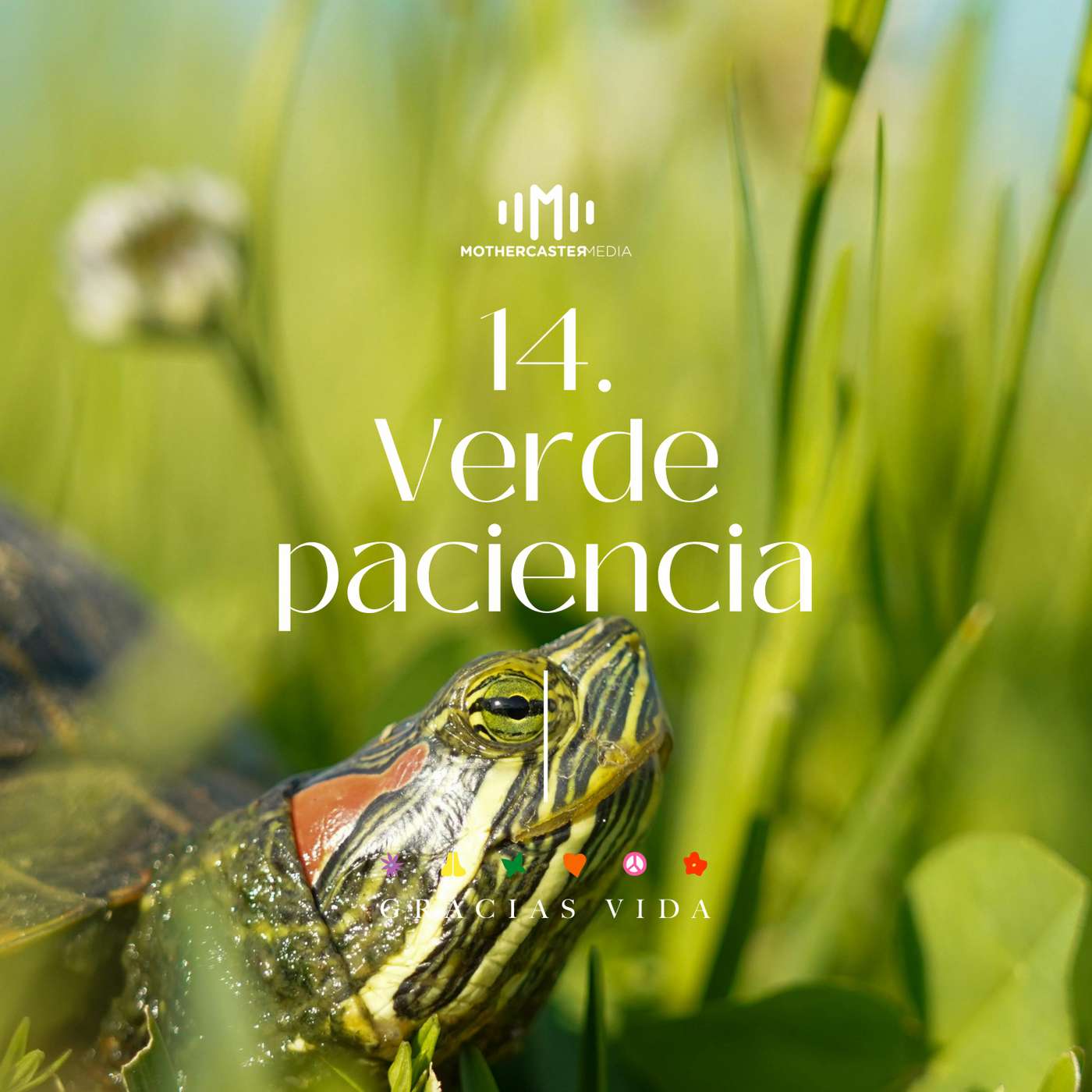 El sonido de los colores