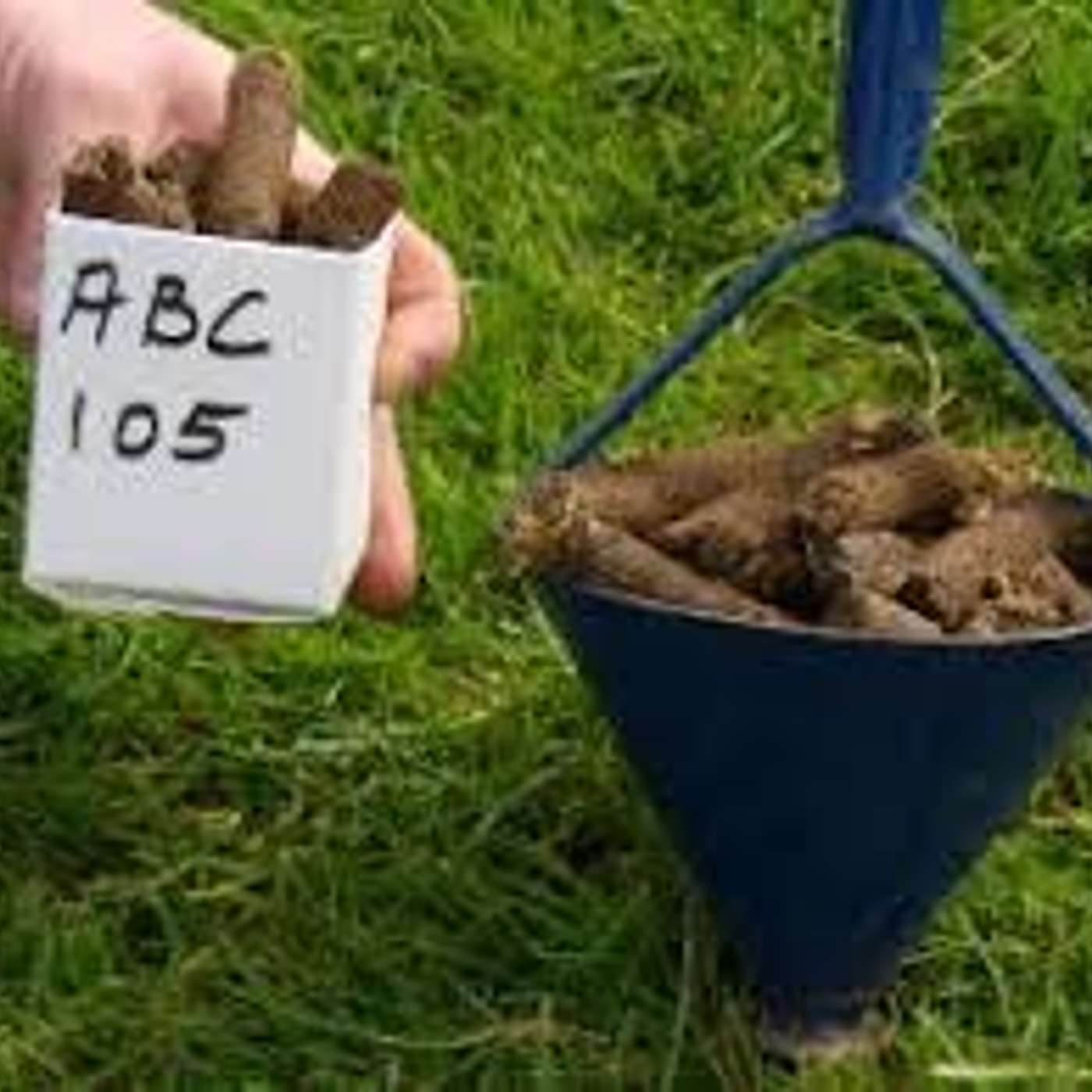 Improving your soil fertility