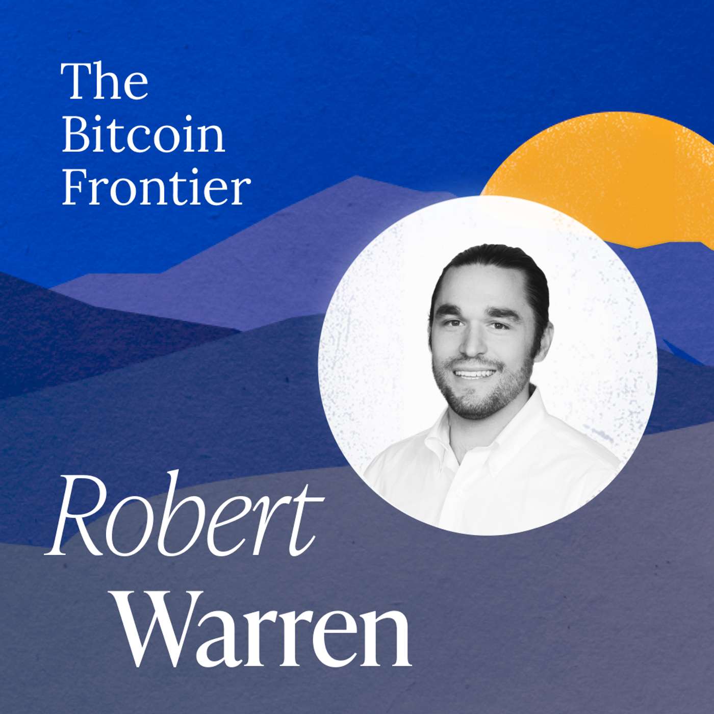 The incentives that make bitcoin unstoppable with Robert Warren The incentives that make bitcoin unstoppable with Robert Warren