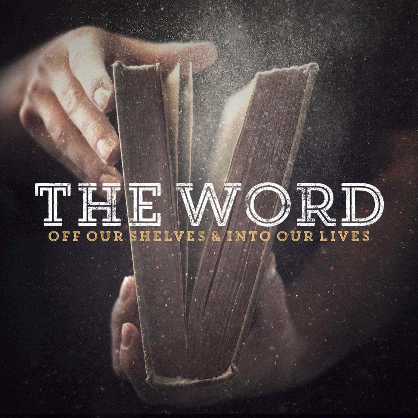 Red and Yellow, Black and White episode artwork