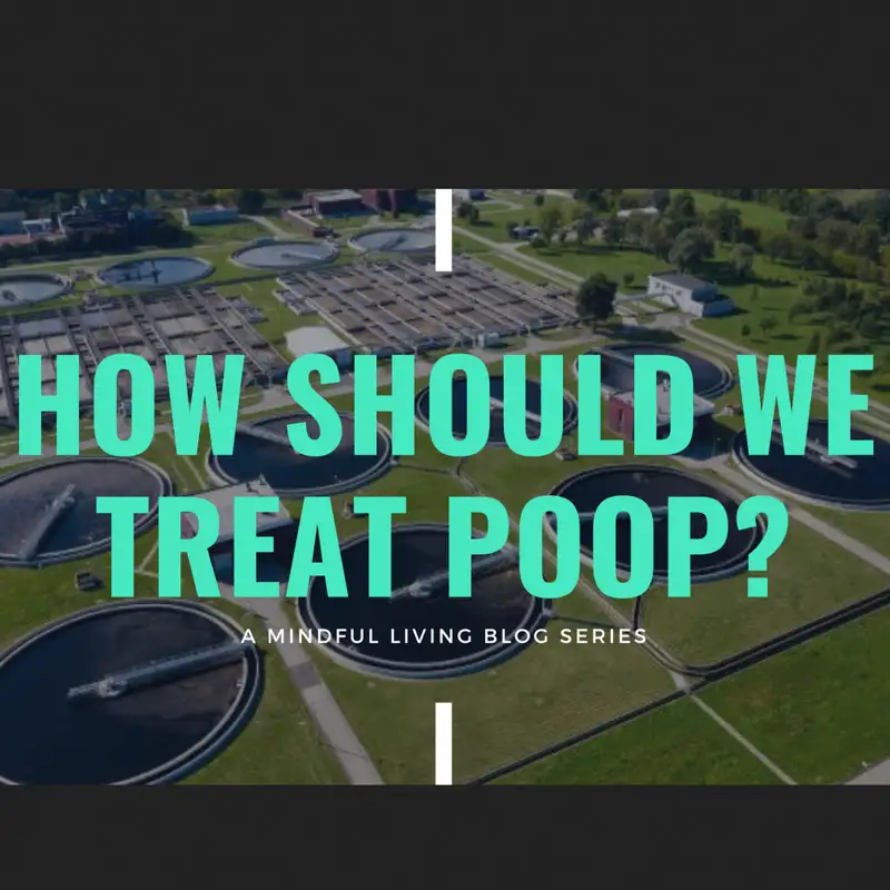 What exactly is policy?