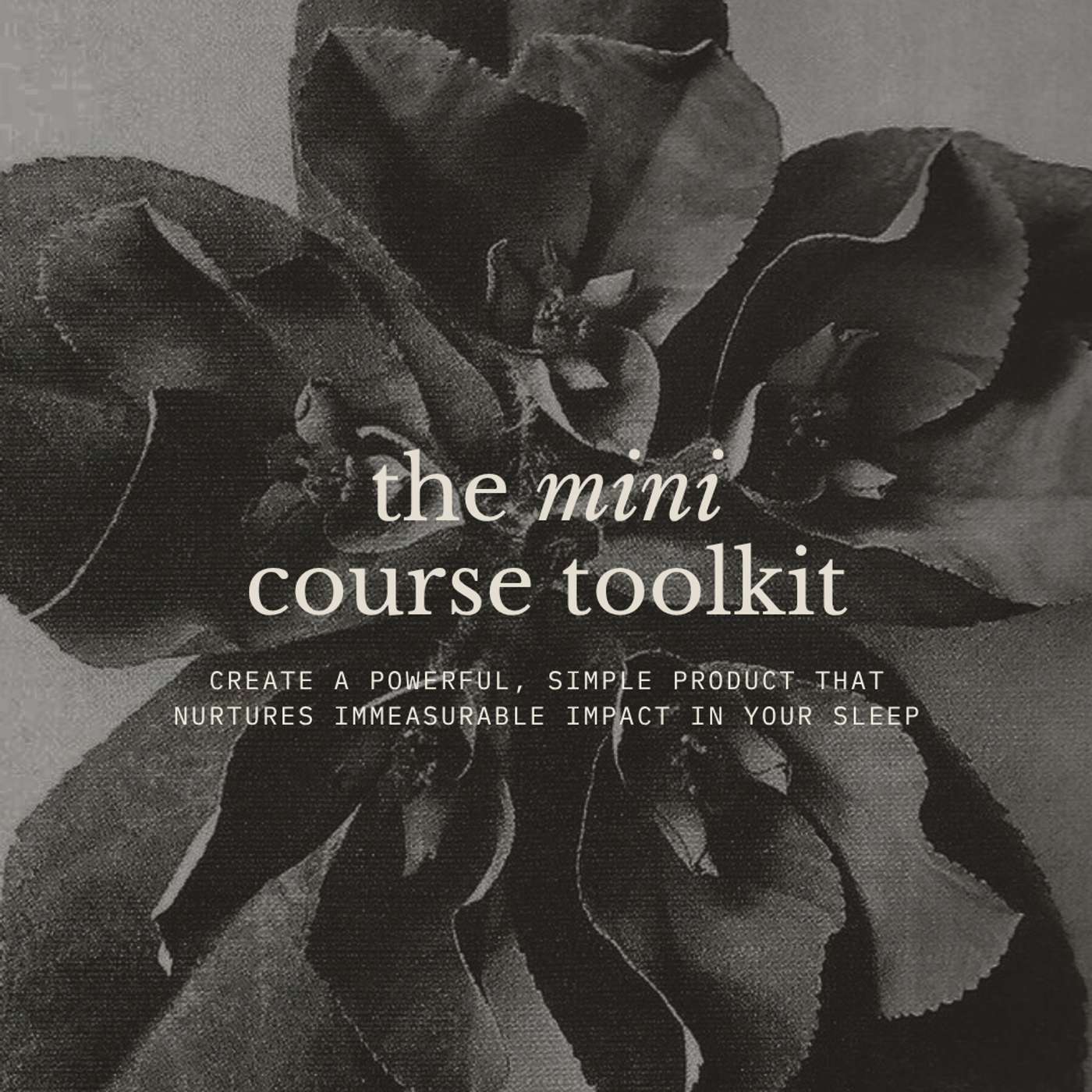 The Mini-Course Toolkit