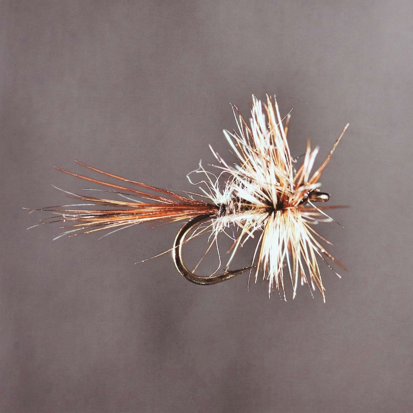 A Fly Fisher’s Revelations: Nick Lyons and Judy Van Put on Ed’s Final Book