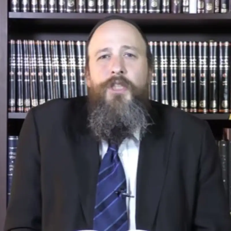 Moshiach Mindset: SYNTHESIS - Rabbi Noam Wagner