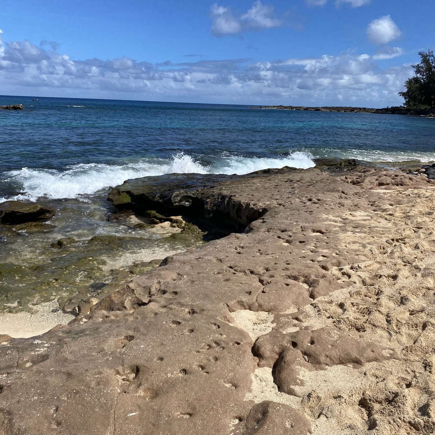 Mona Shaikh: Breaking Rules, Cracking Jokes & Challenging the Status Quo