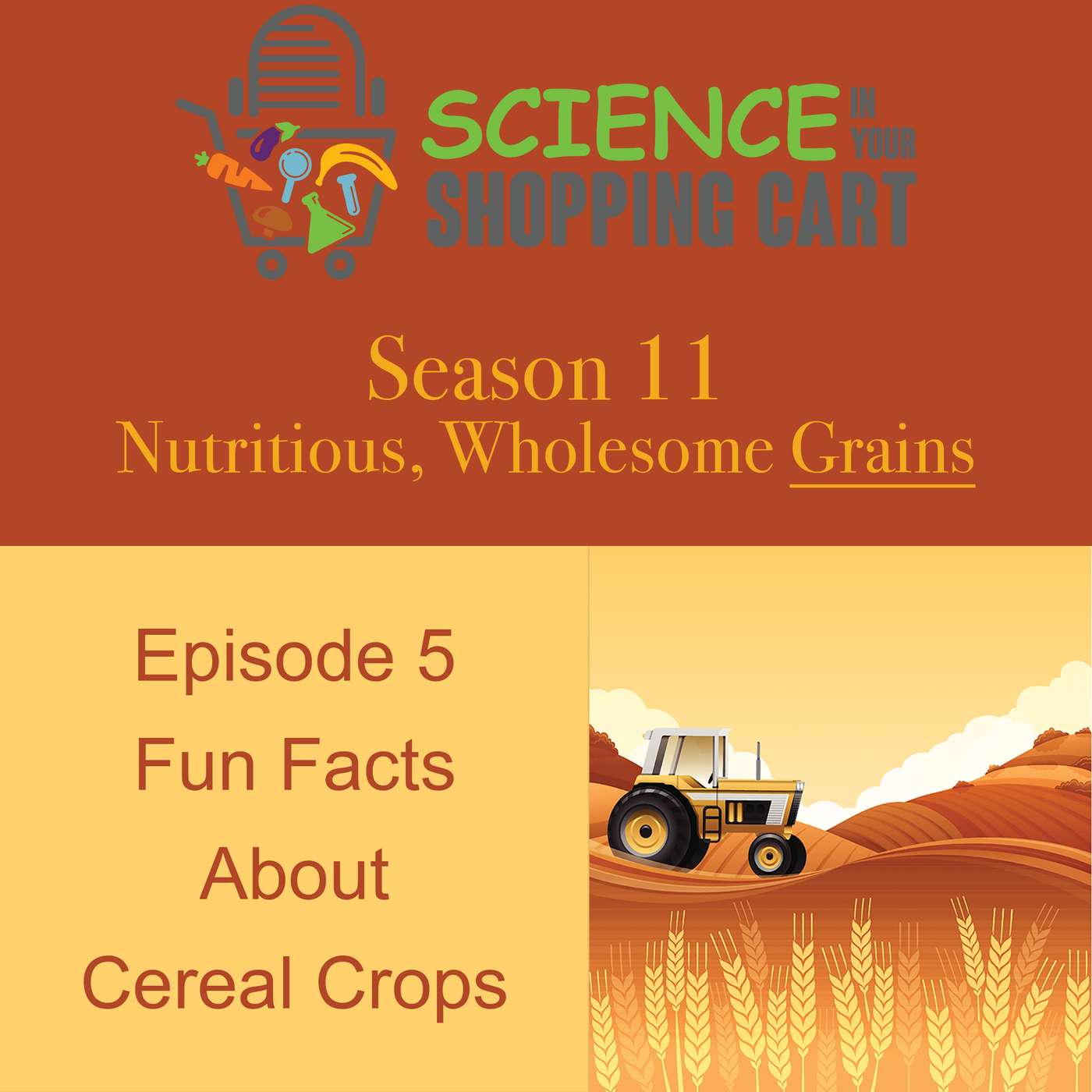 Season 11: Wholesome, Nutritious Grains | Episode 5: Fun Facts About Cereal Crops