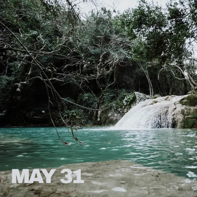 The Darkenshrub epiphany