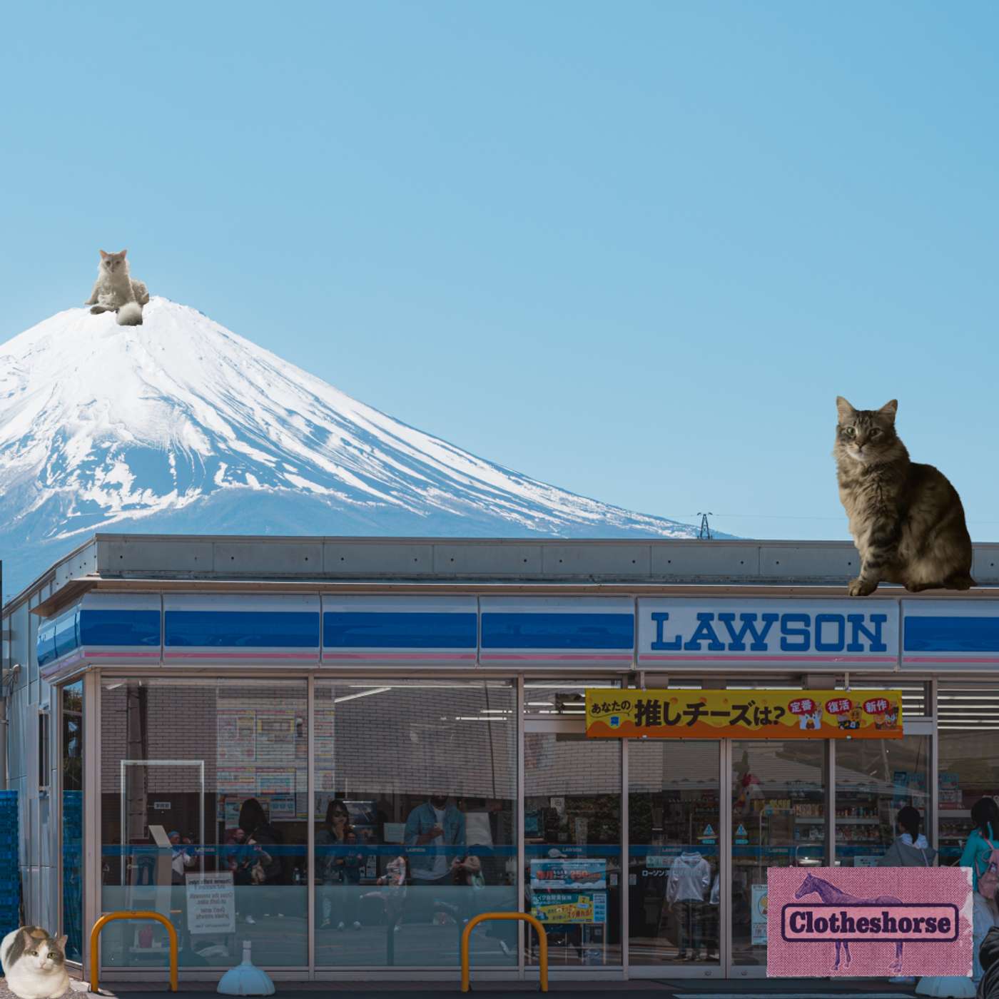 Clotheshorse with Amanda Lee McCarty