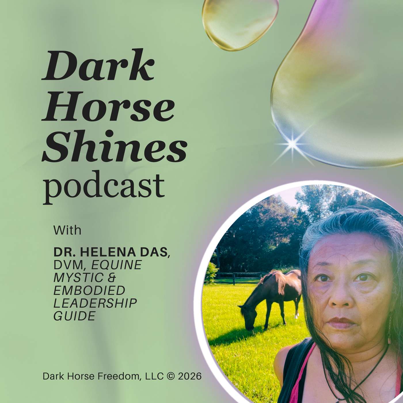 DHS: 3 Ways Horses Help Heal the Feminine Nervous System 🧘🏻‍♀️ 💖 🐎 episode artwork