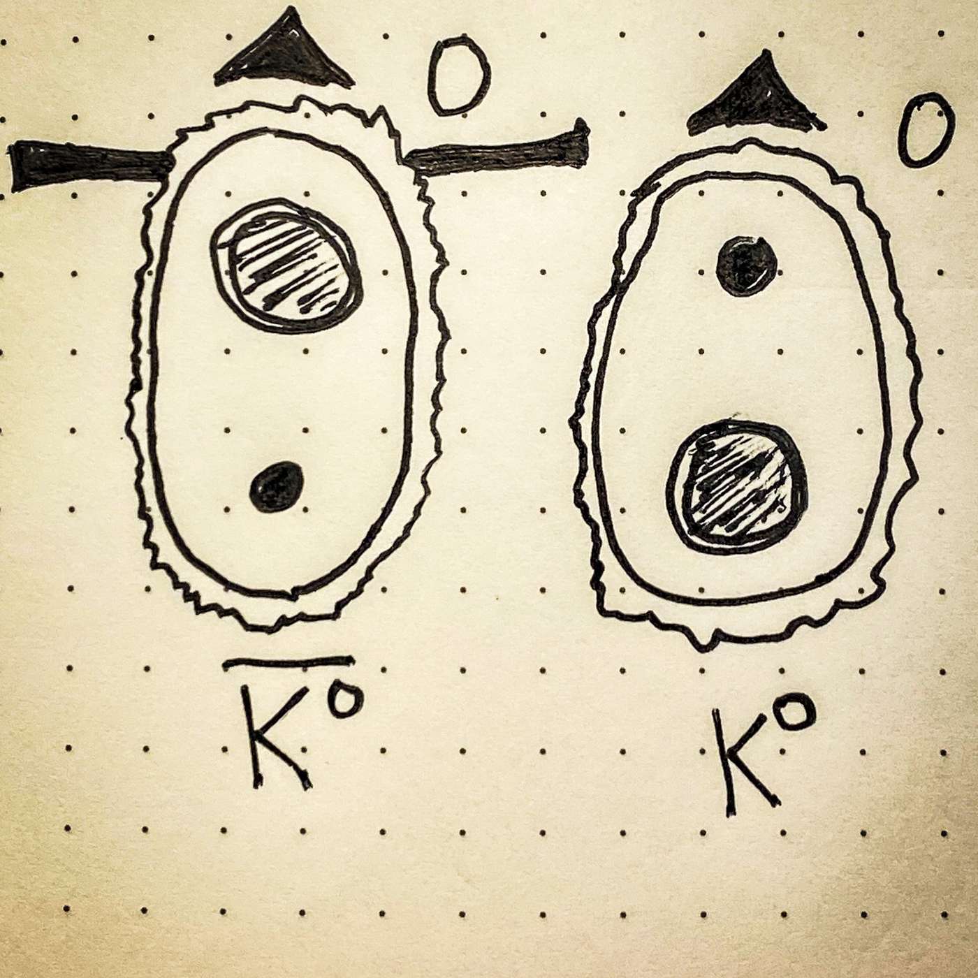 The Field Guide to Particle Physics